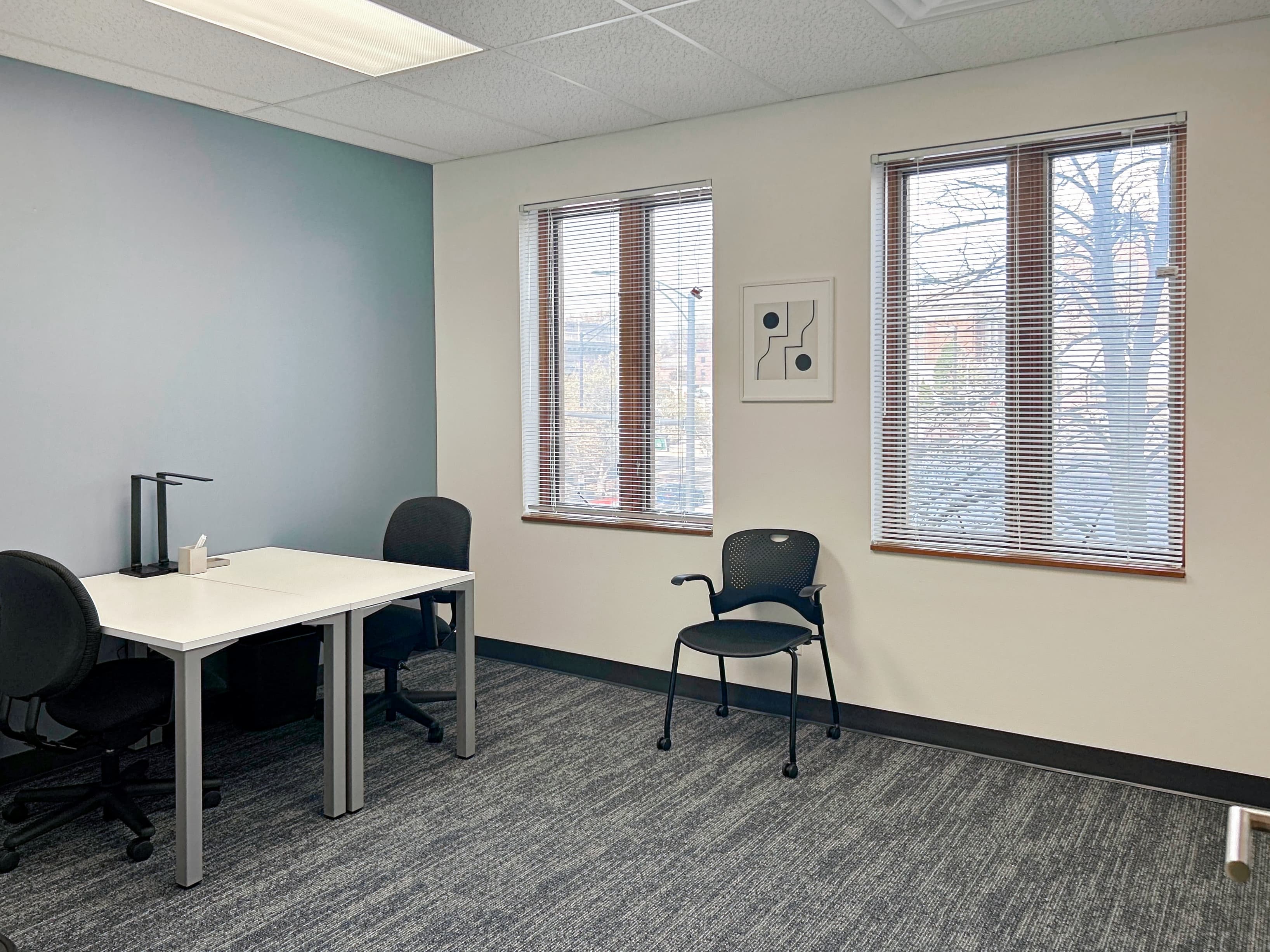 IL, Champaign – N. Randolph St image 9 IL, Champaign – N. Randolph St image 9