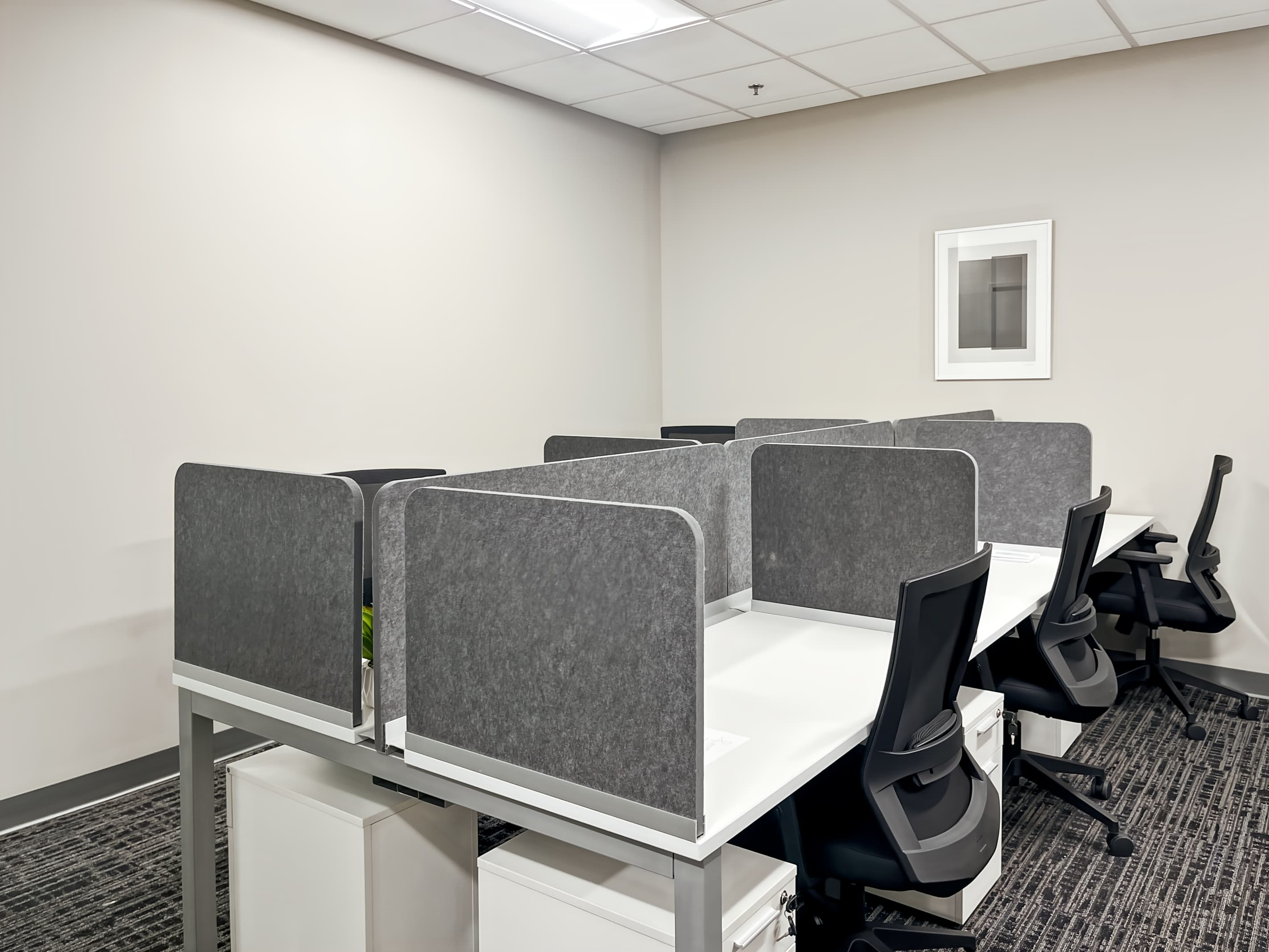 FL, Tallahassee - Monroe St. image 6