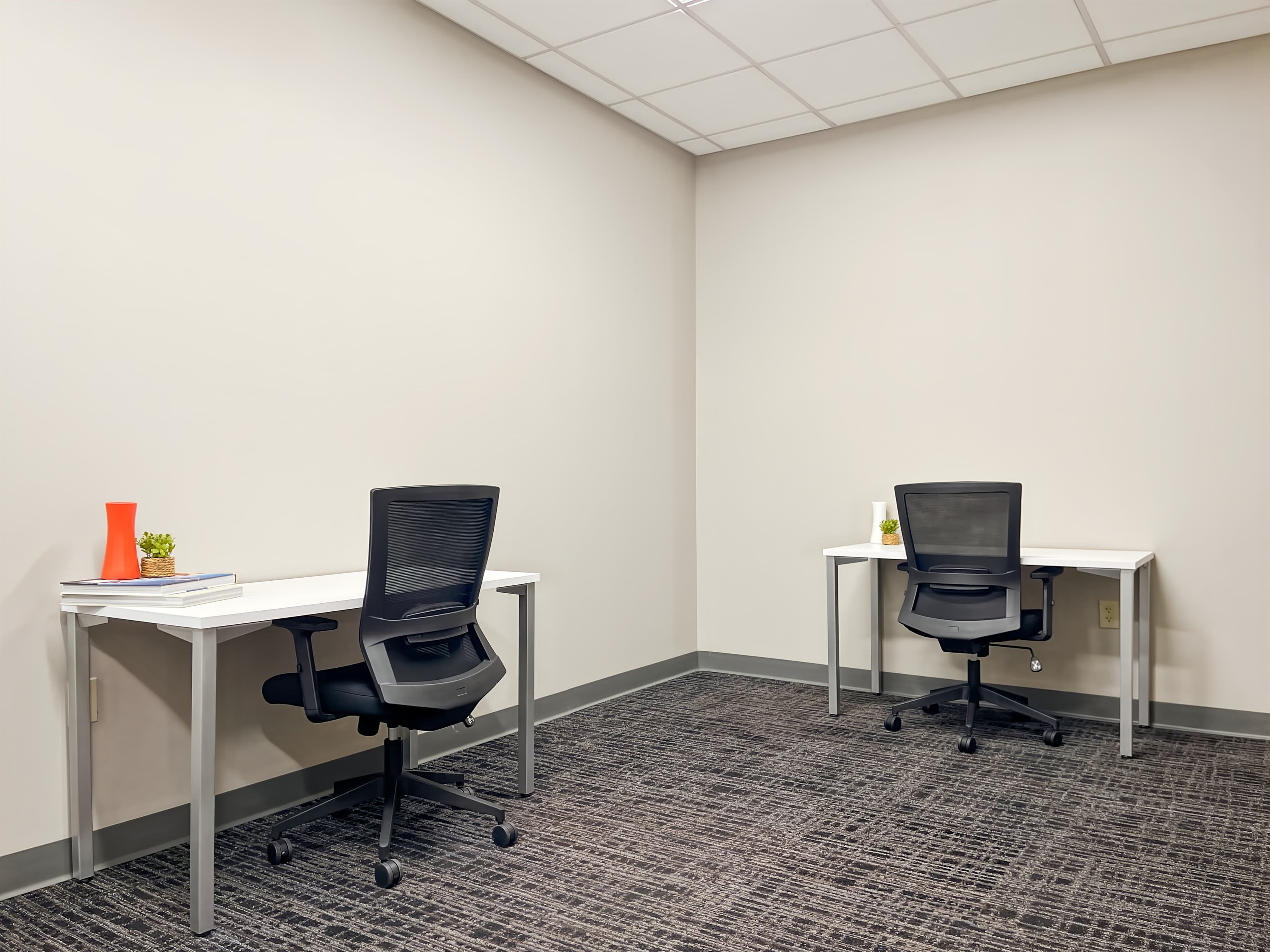 FL, Tallahassee - Monroe St. image 10