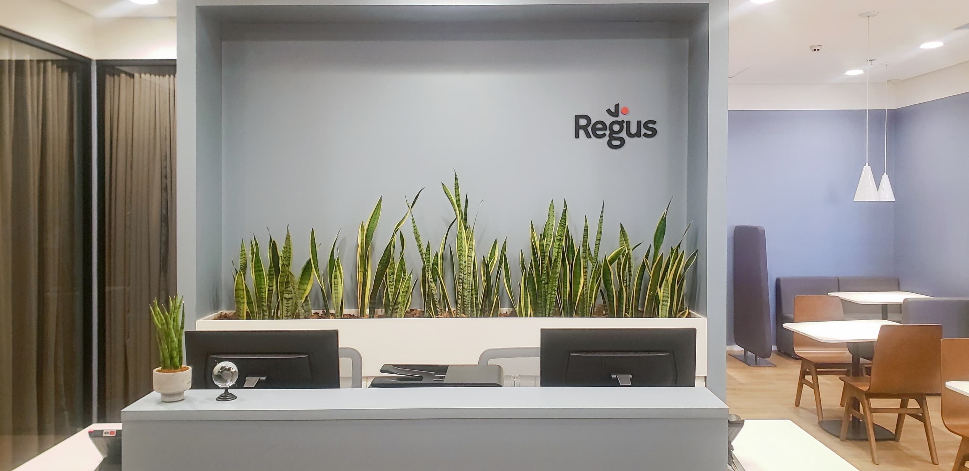 Goiania, Flamboyant image 2