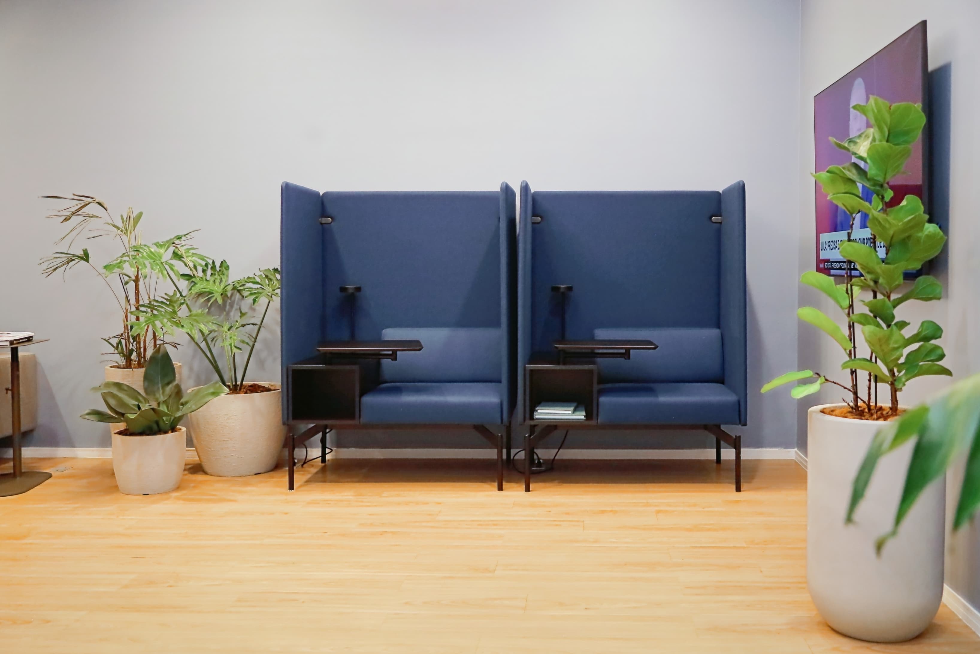 Goiania, Flamboyant image 3