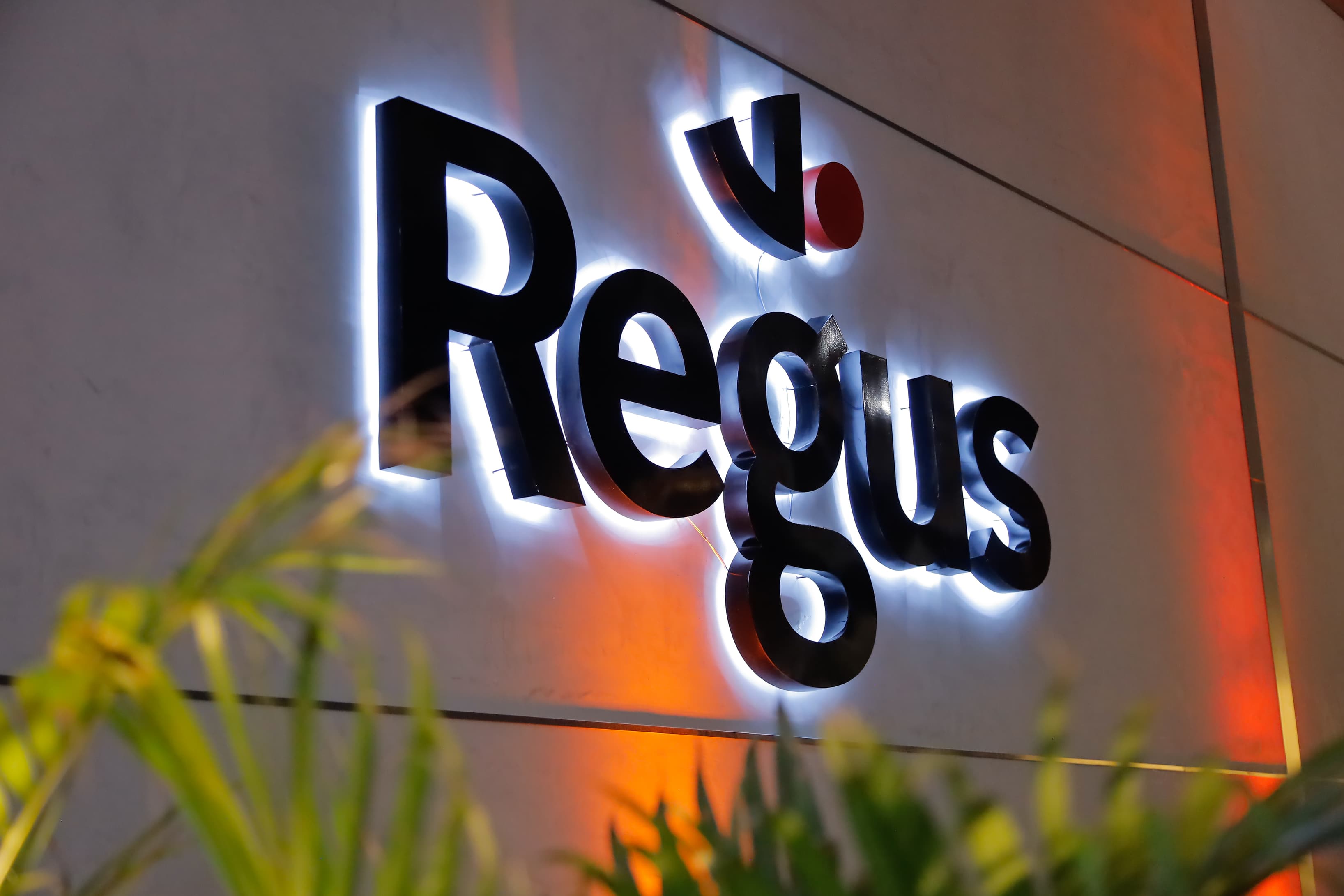 Goiania, Flamboyant image 5