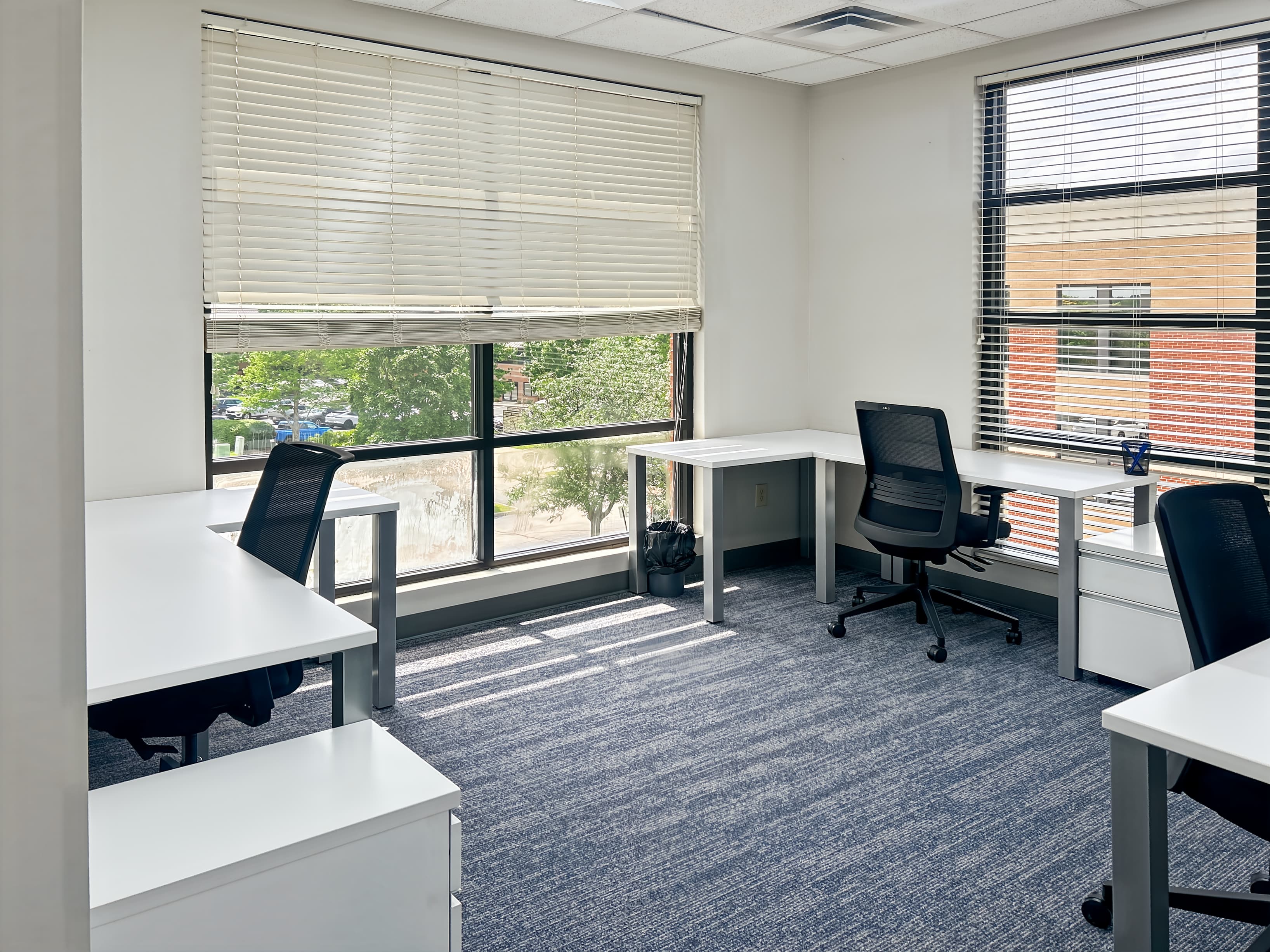 KY, Lexington - Monarch Street image 12