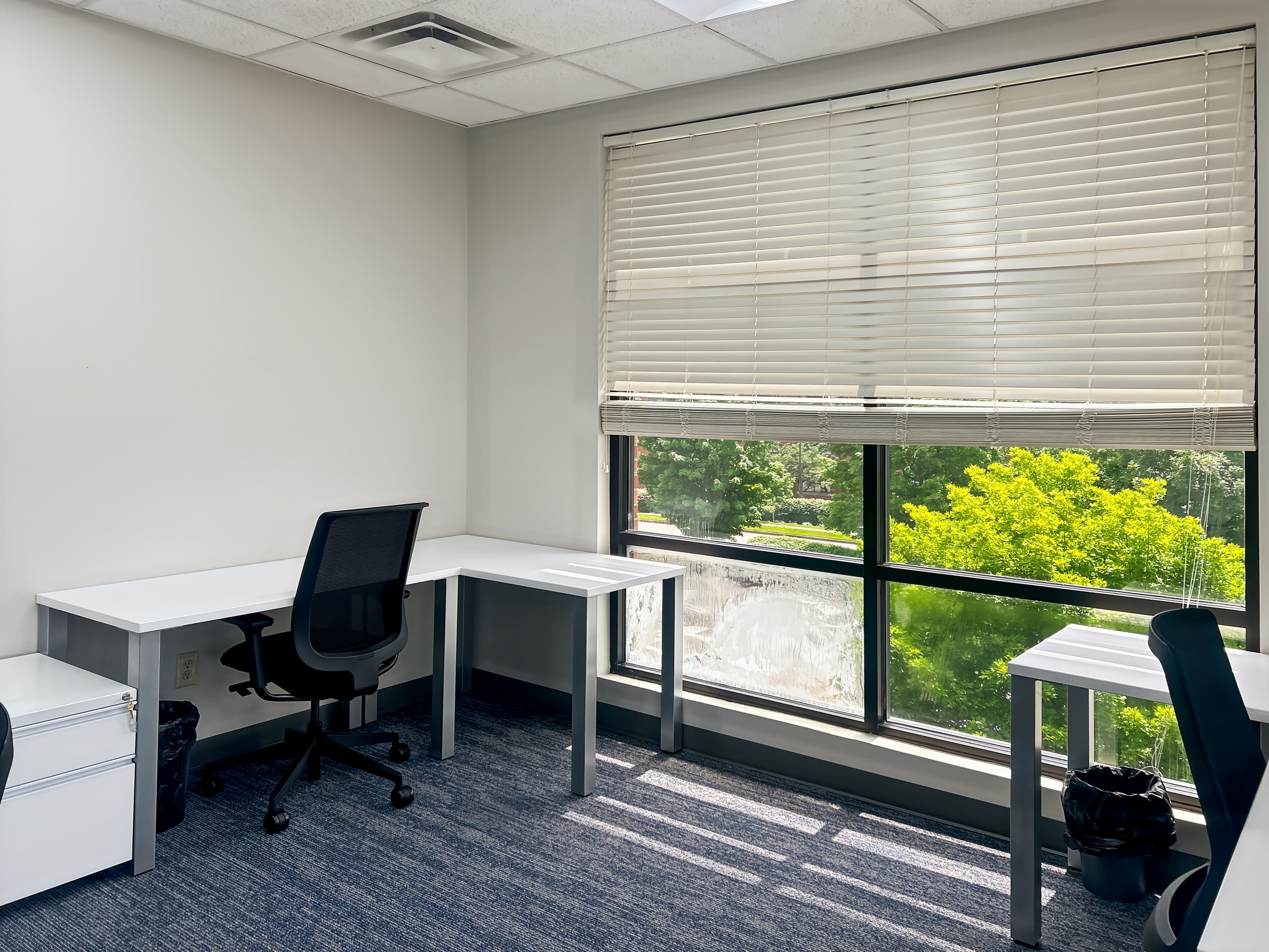 KY, Lexington - Monarch Street image 11