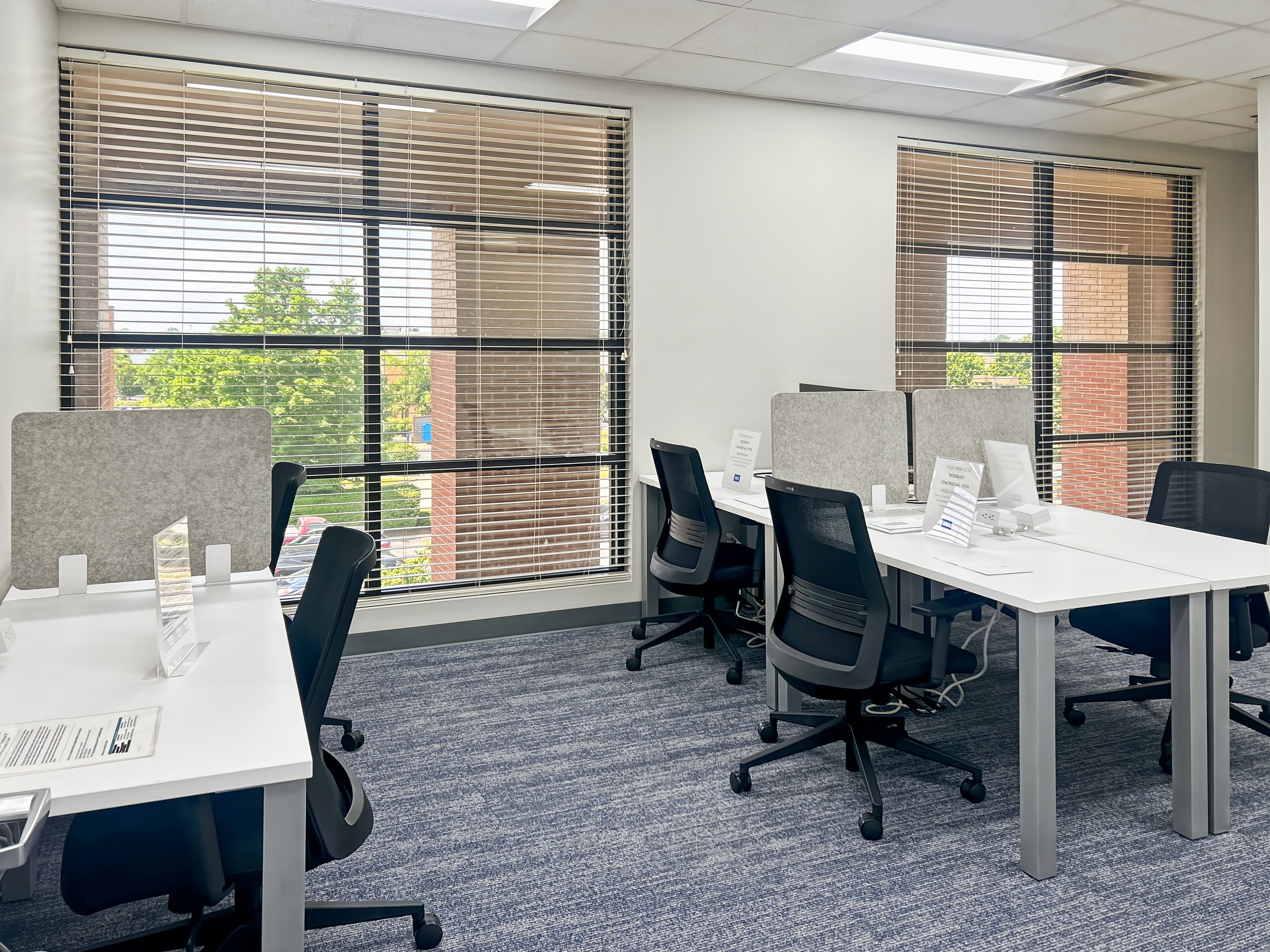 KY, Lexington - Monarch Street image 10