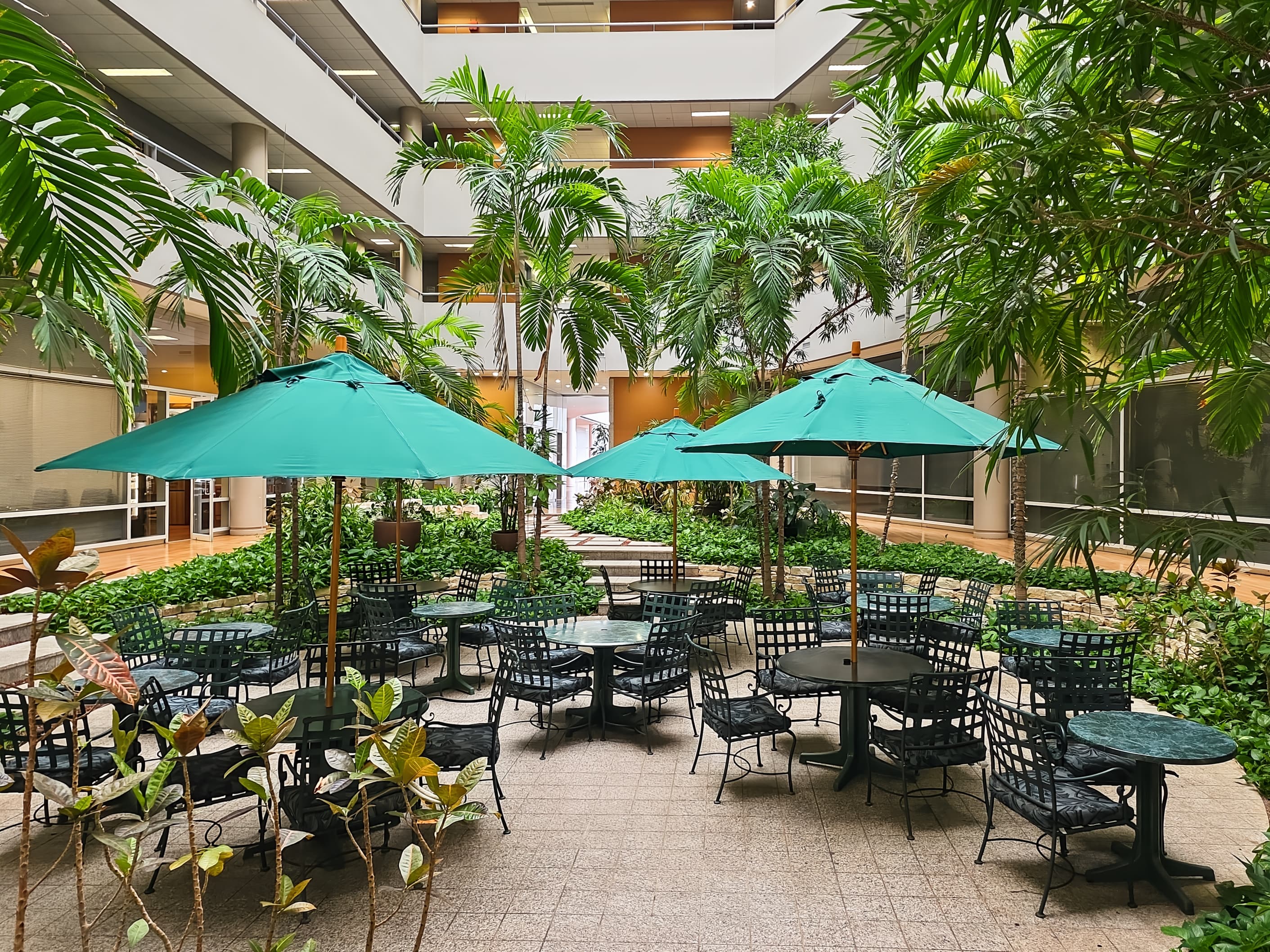 TX, San Antonio - NE Loop 410 image 6