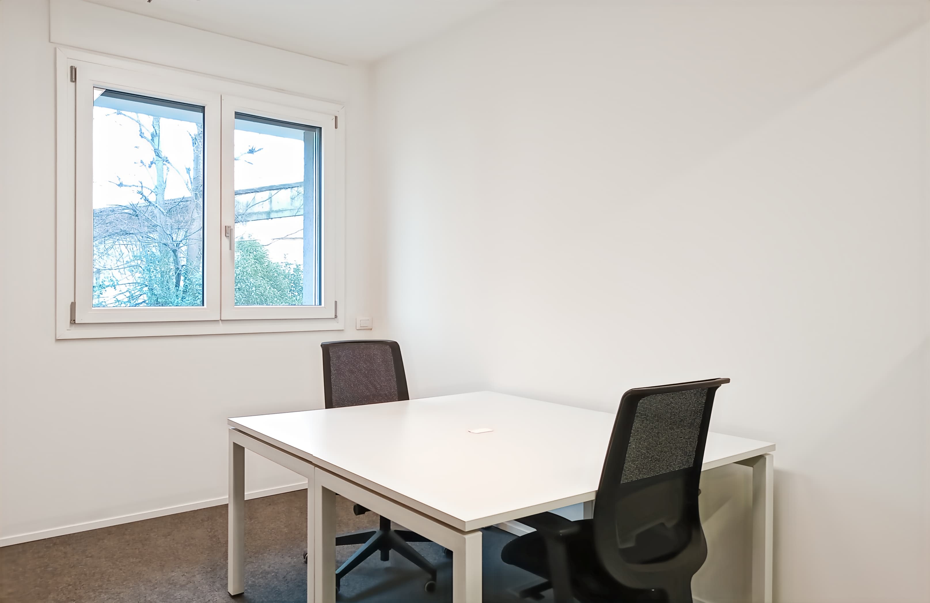 Bologna, Zago image 5