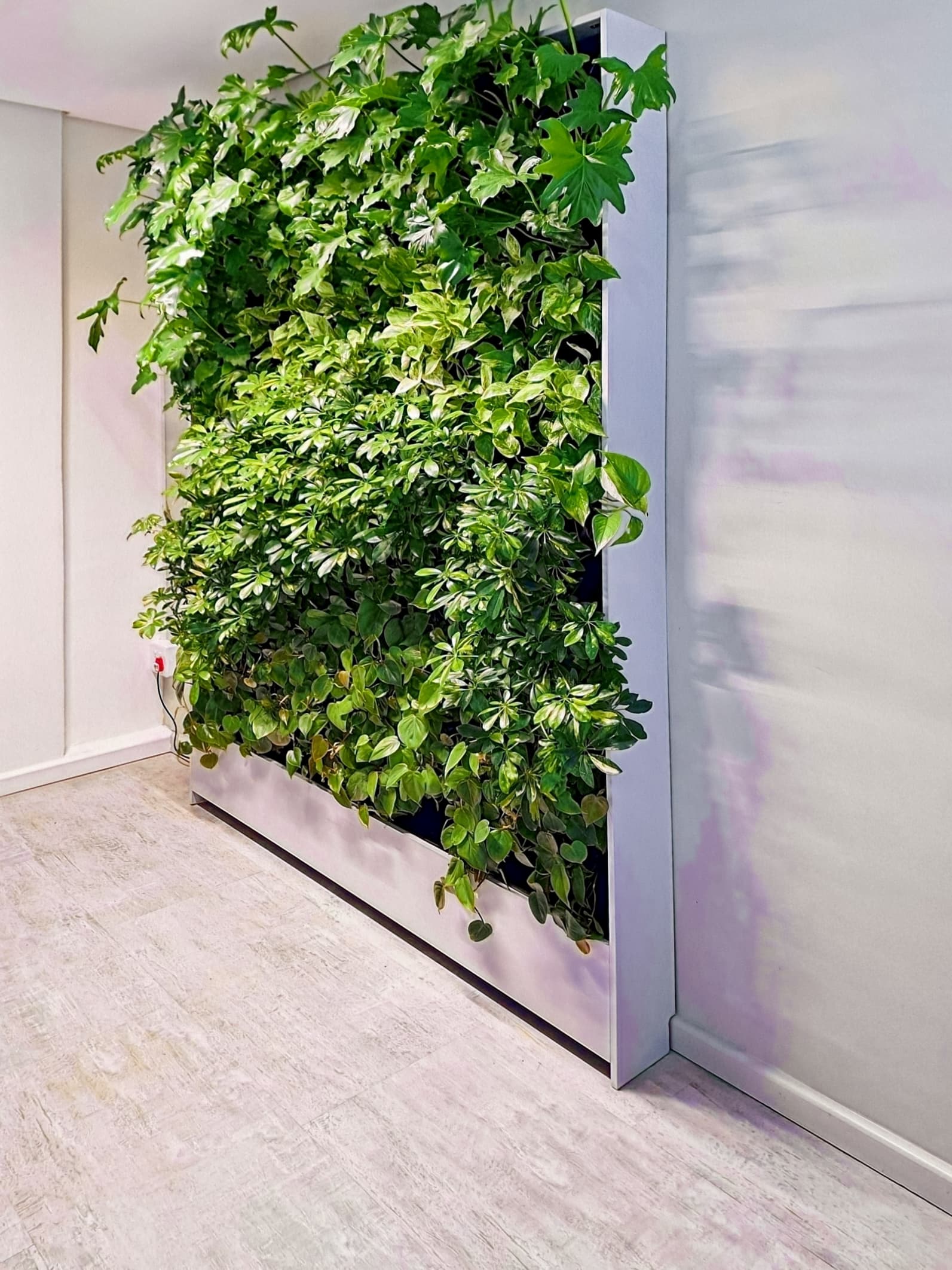 George, 97 York Street image 5 George, 97 York Street image 5