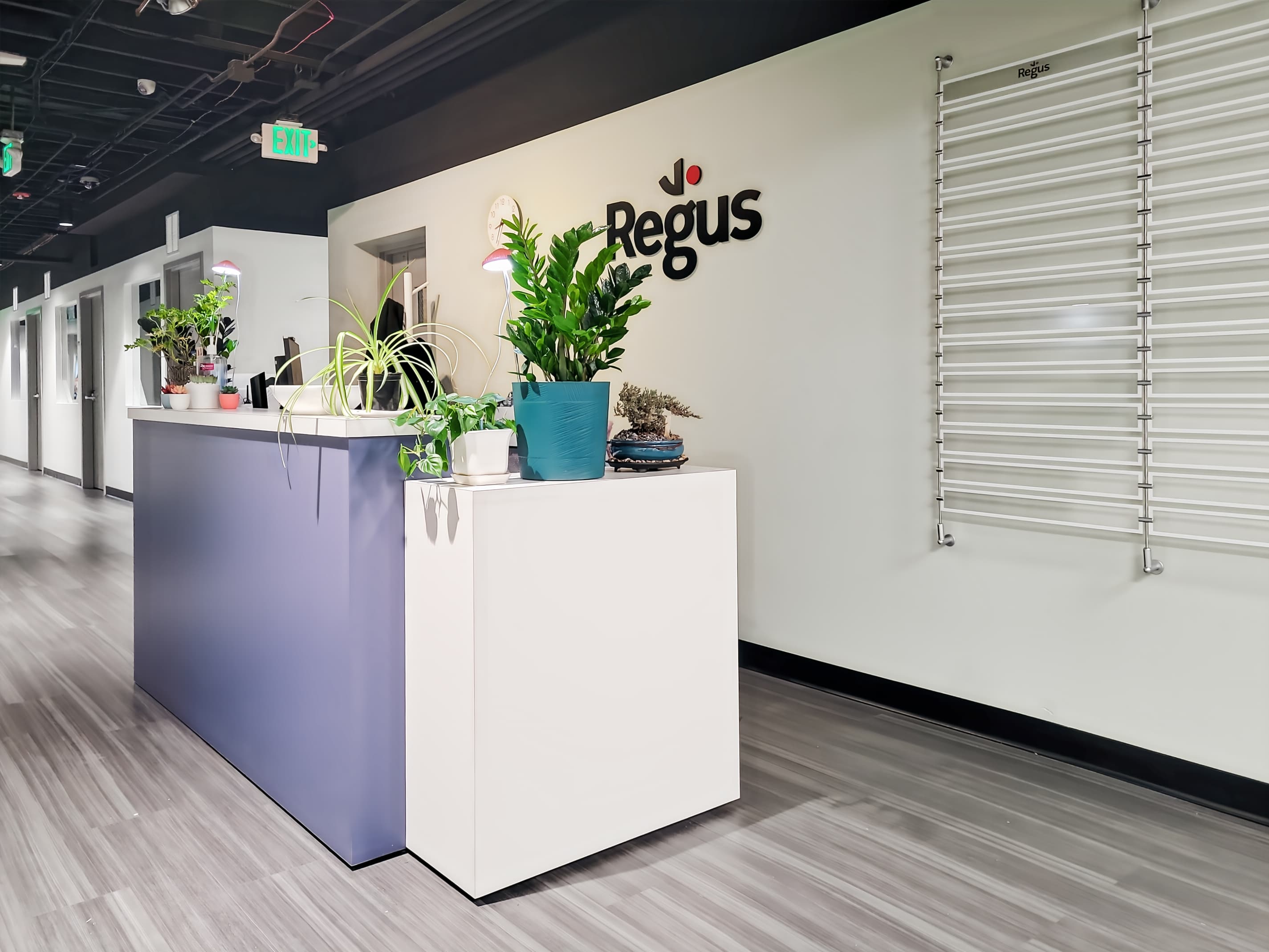 CO, Longmont- Terry St image 4 CO, Longmont- Terry St image 4