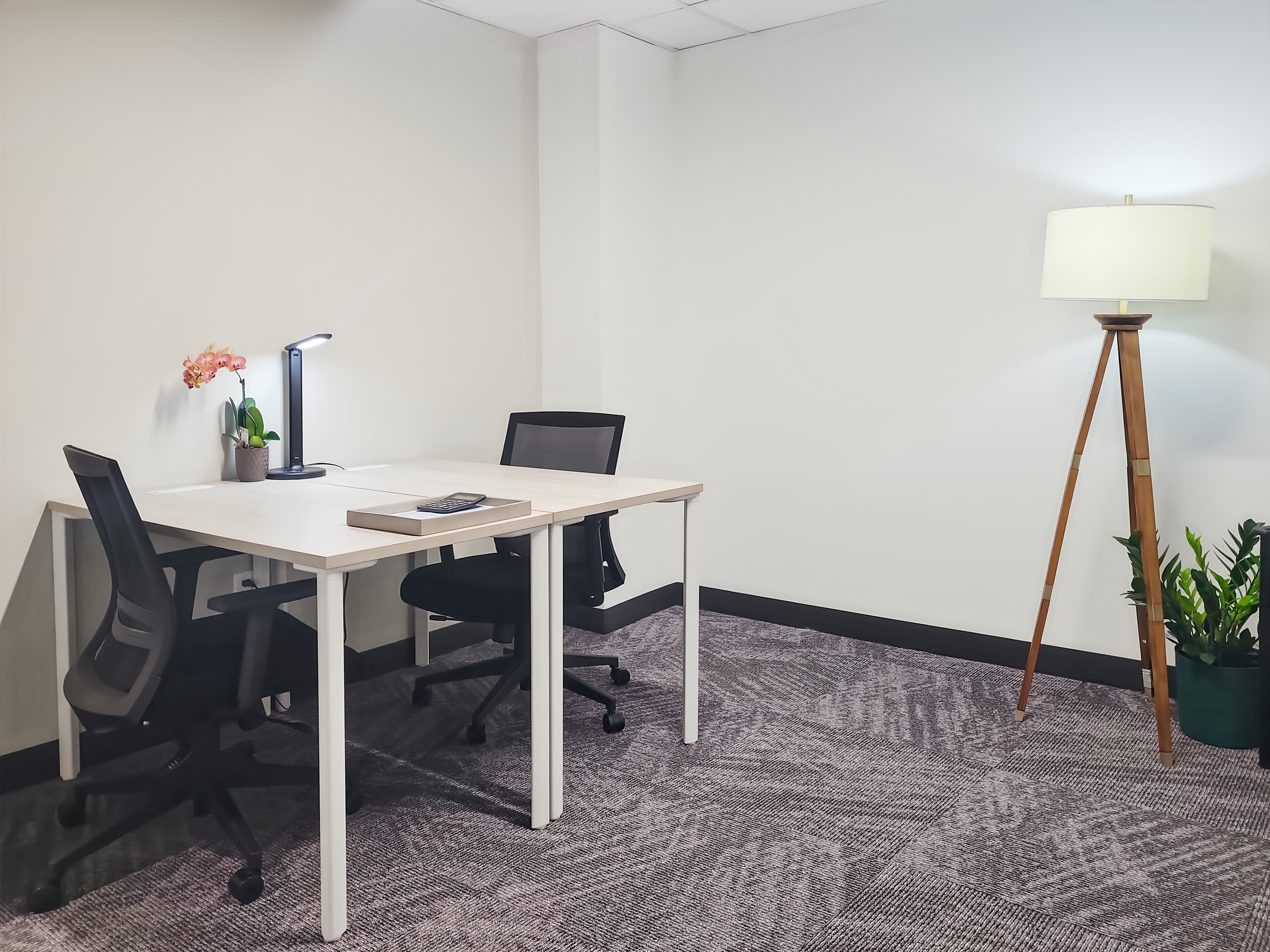 CO, Longmont- Terry St image 13 CO, Longmont- Terry St image 13