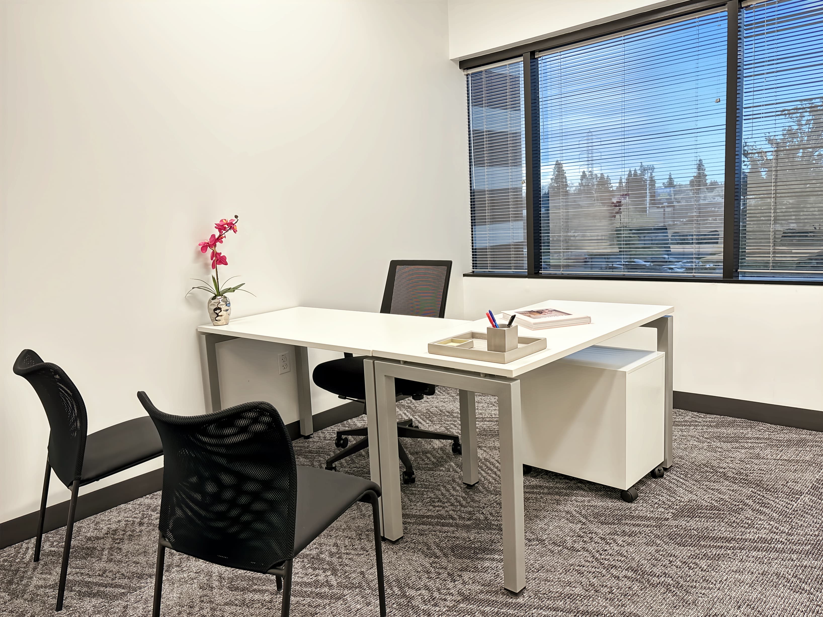 CA, Sacramento - 1750 Howe image 2 CA, Sacramento - 1750 Howe image 2