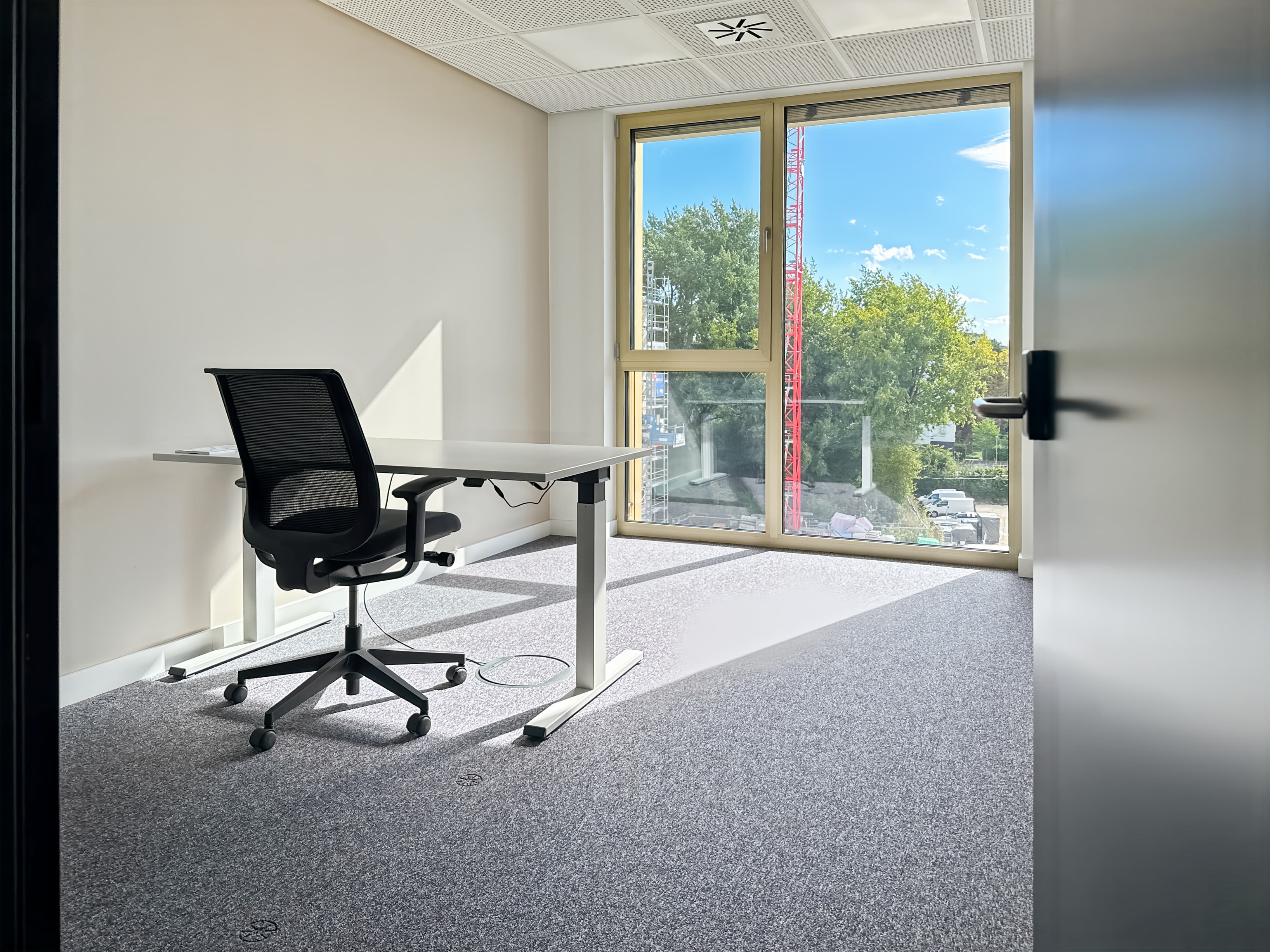 Konstanz, Constantia Blue image 6