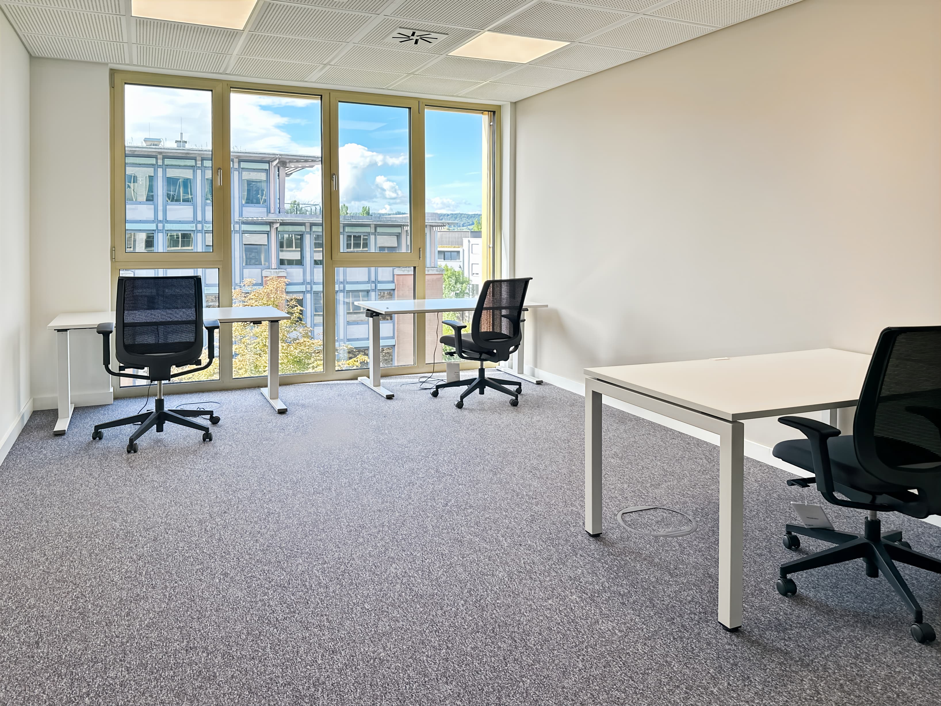 Konstanz, Constantia Blue image 3