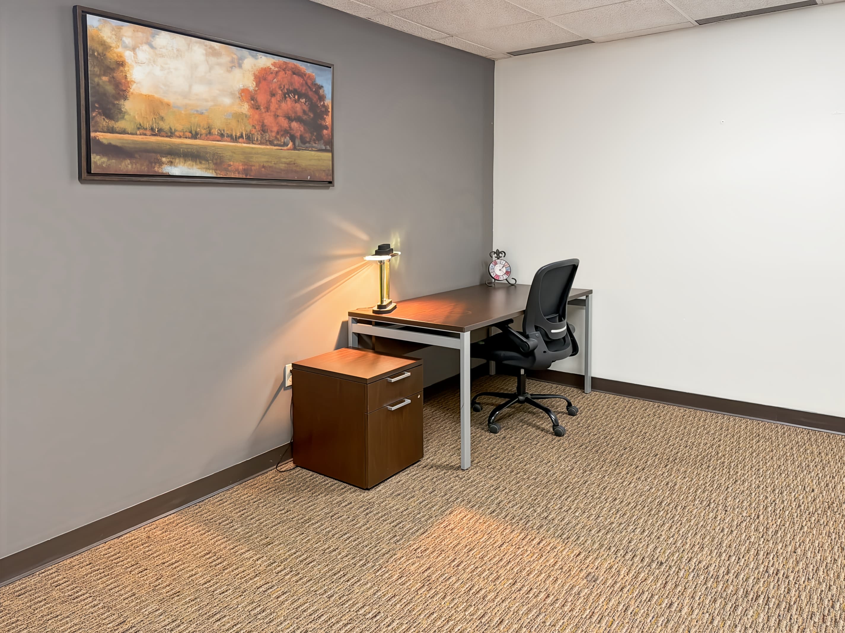 KS, Lenexa - W 95th St image 2