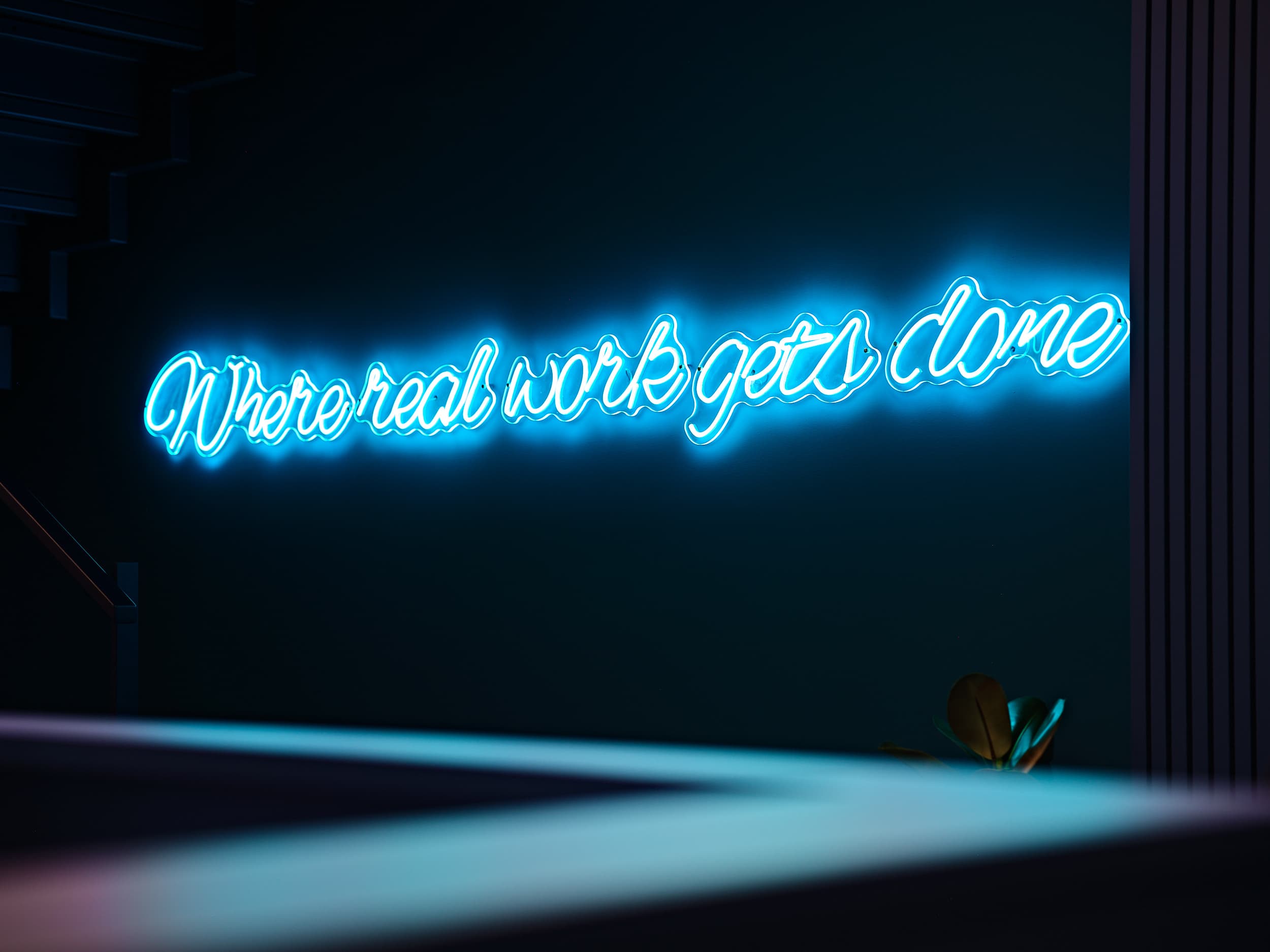 Ljubljana, Feniks image 5