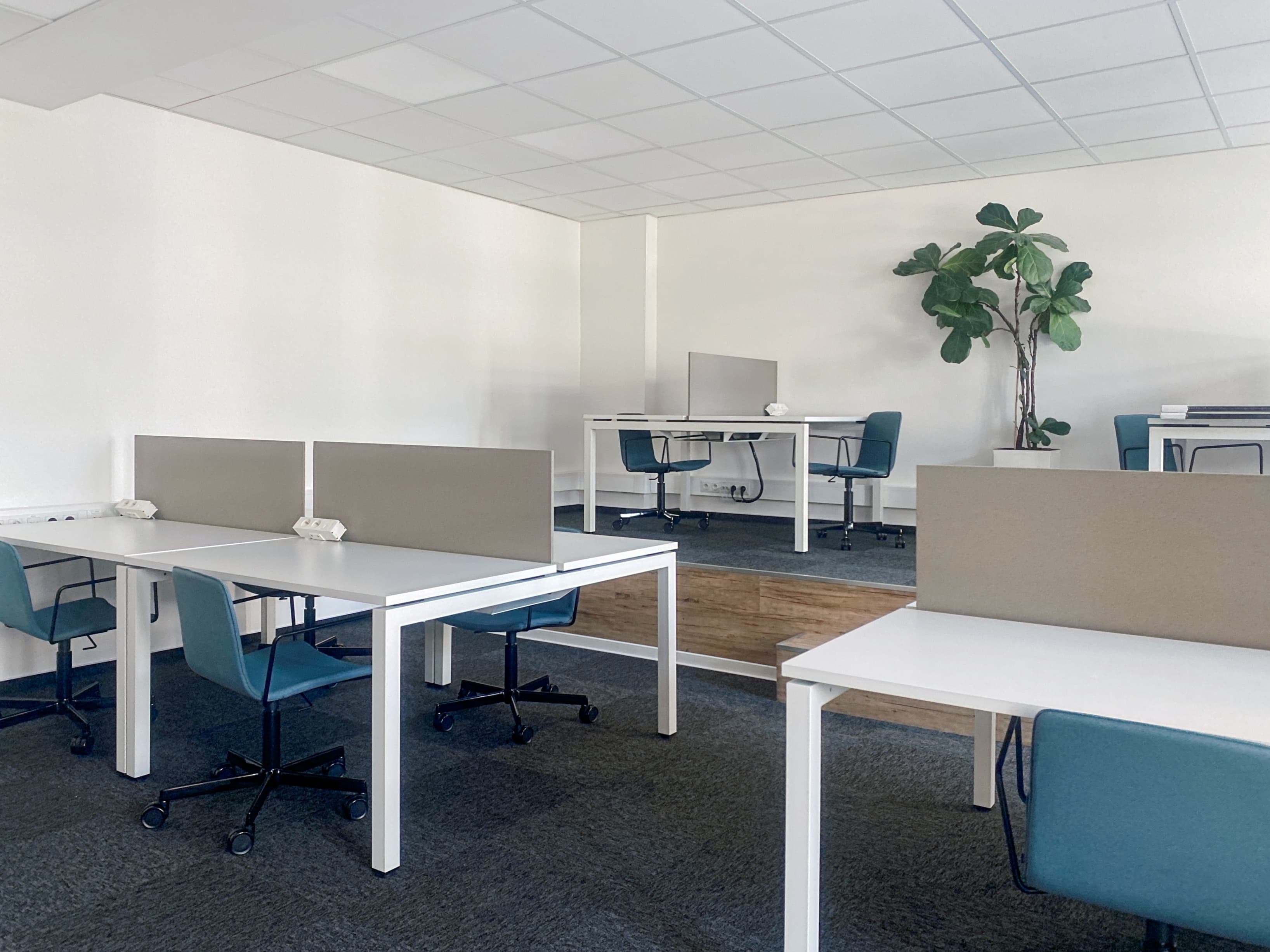 Regus Platan Ostrava image 3