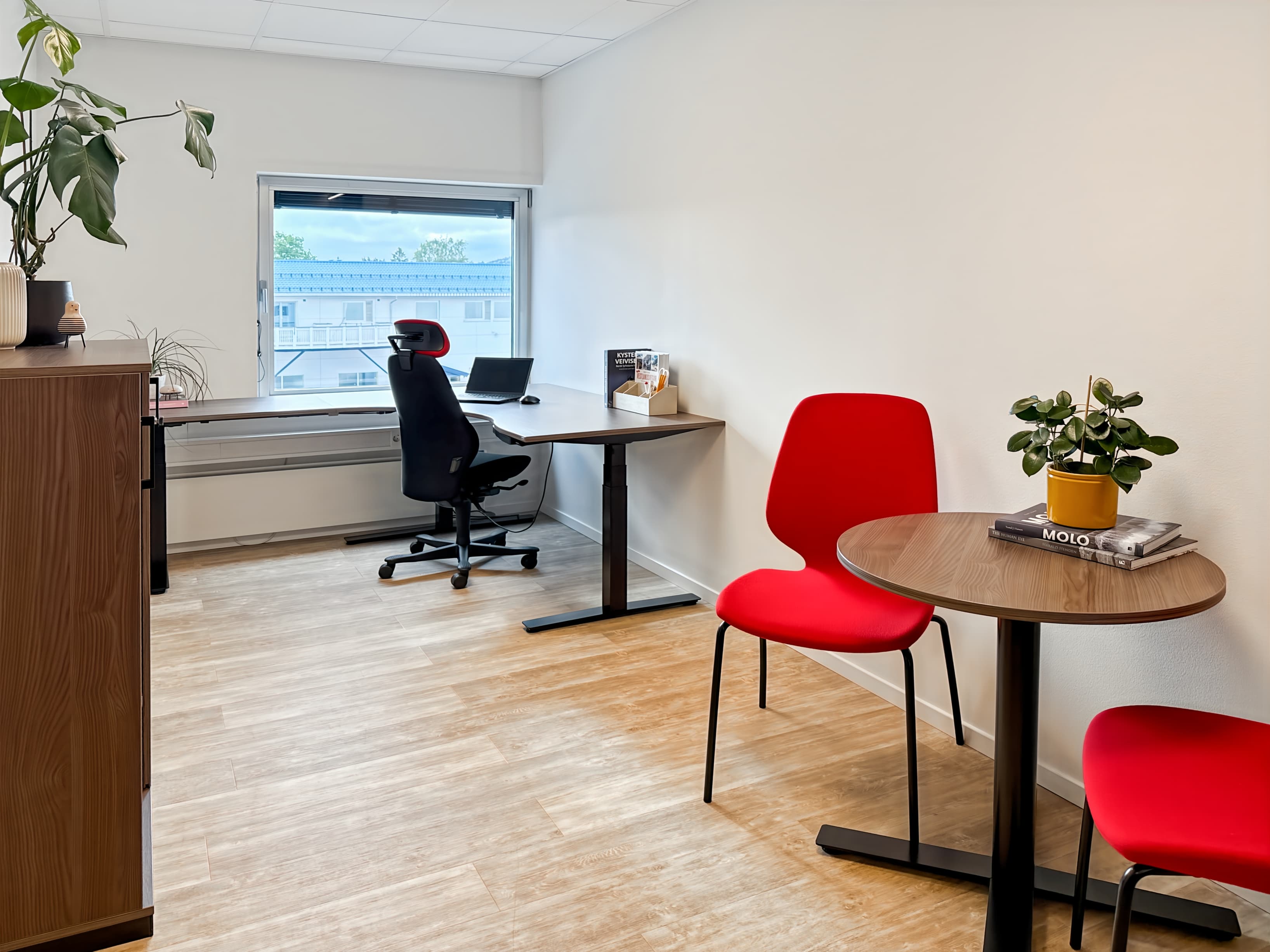 LILLESTRØM, Elvesvingen image 2