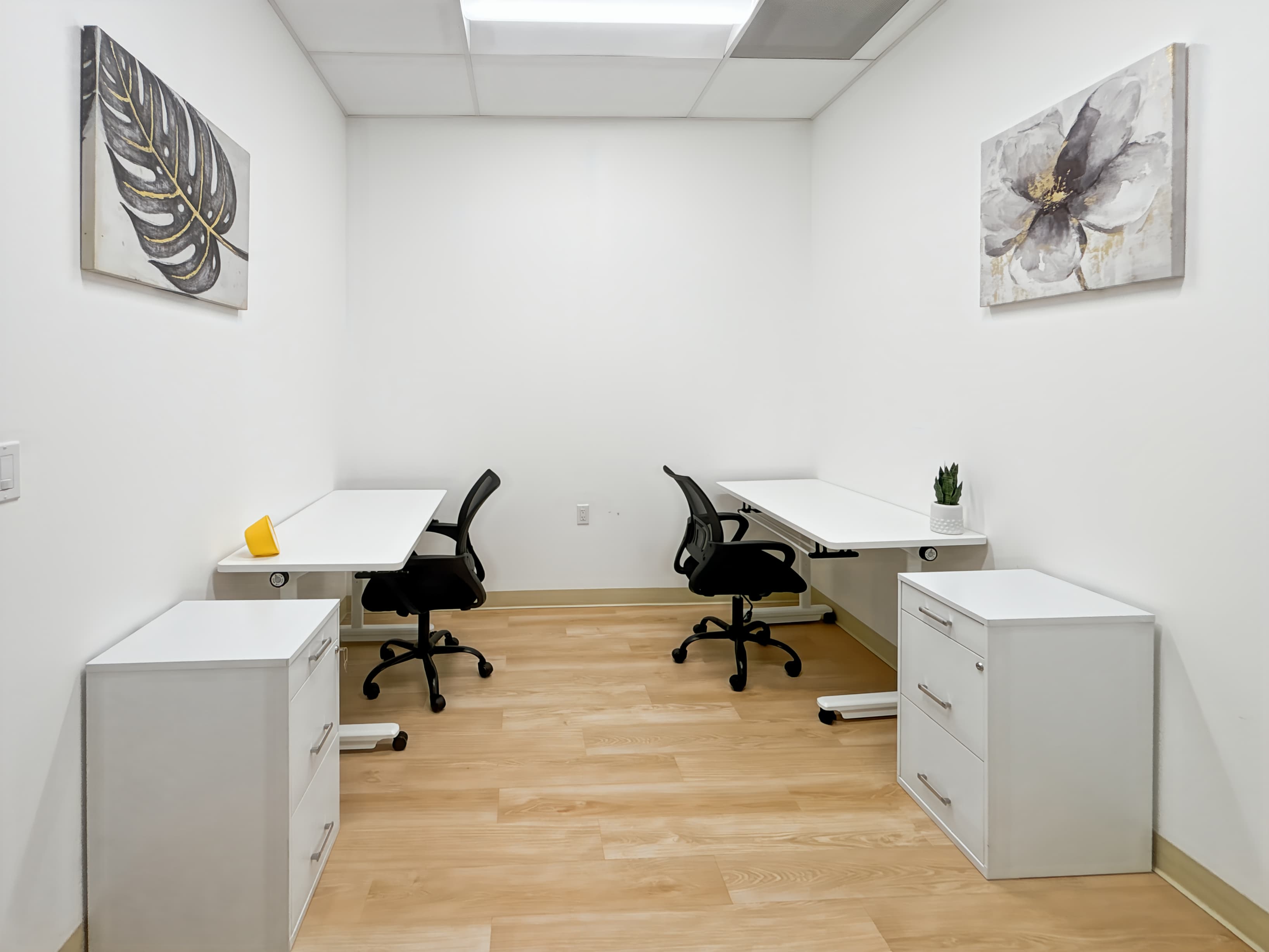 TX, Houston - Kirby Dr image 4