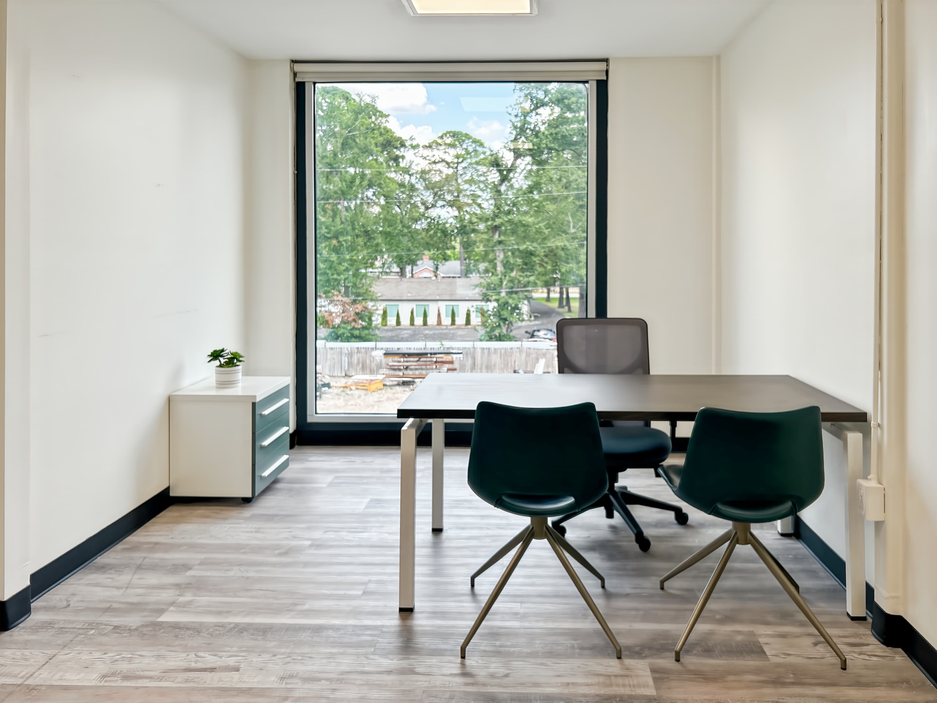 TX, Spring - Budde Road image 7