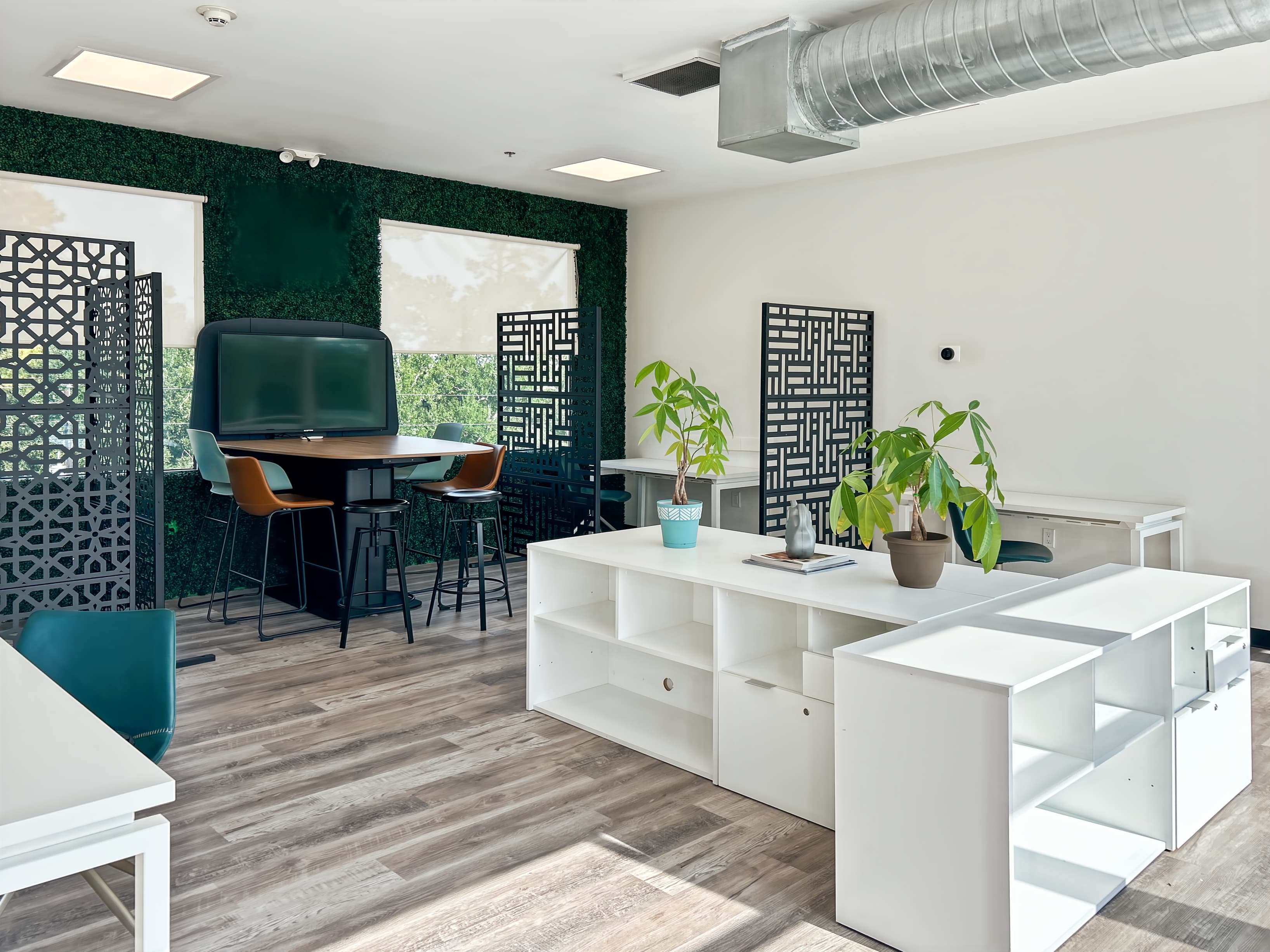 TX, Spring - Budde Road image 9