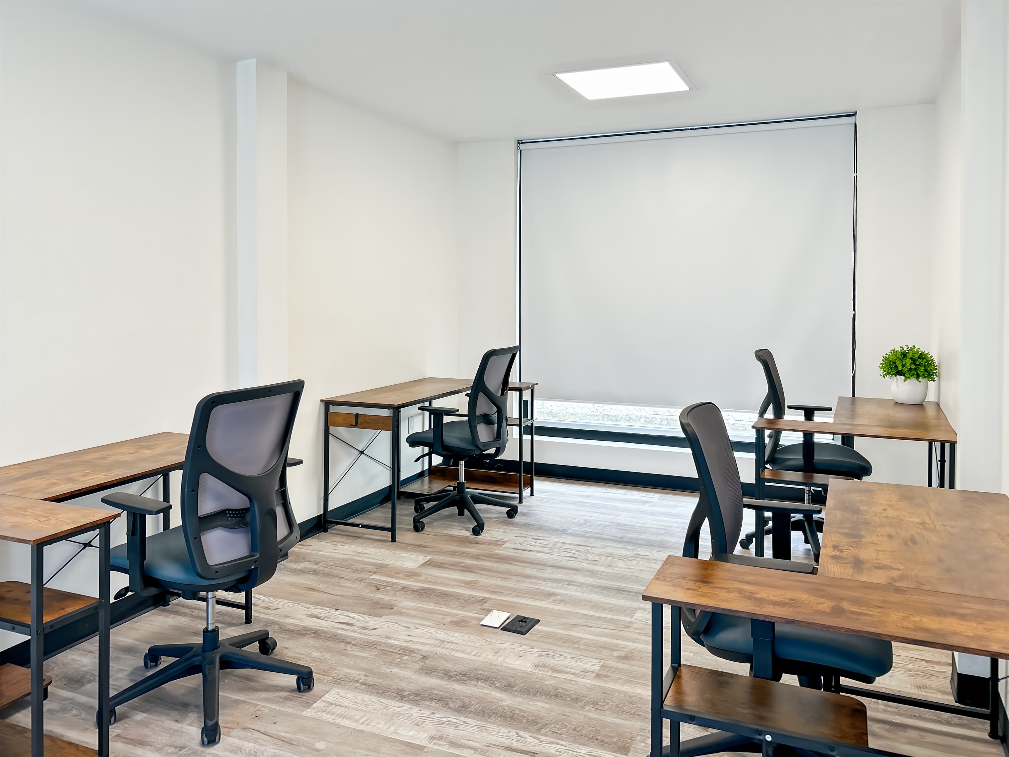 TX, Spring - Budde Road image 6