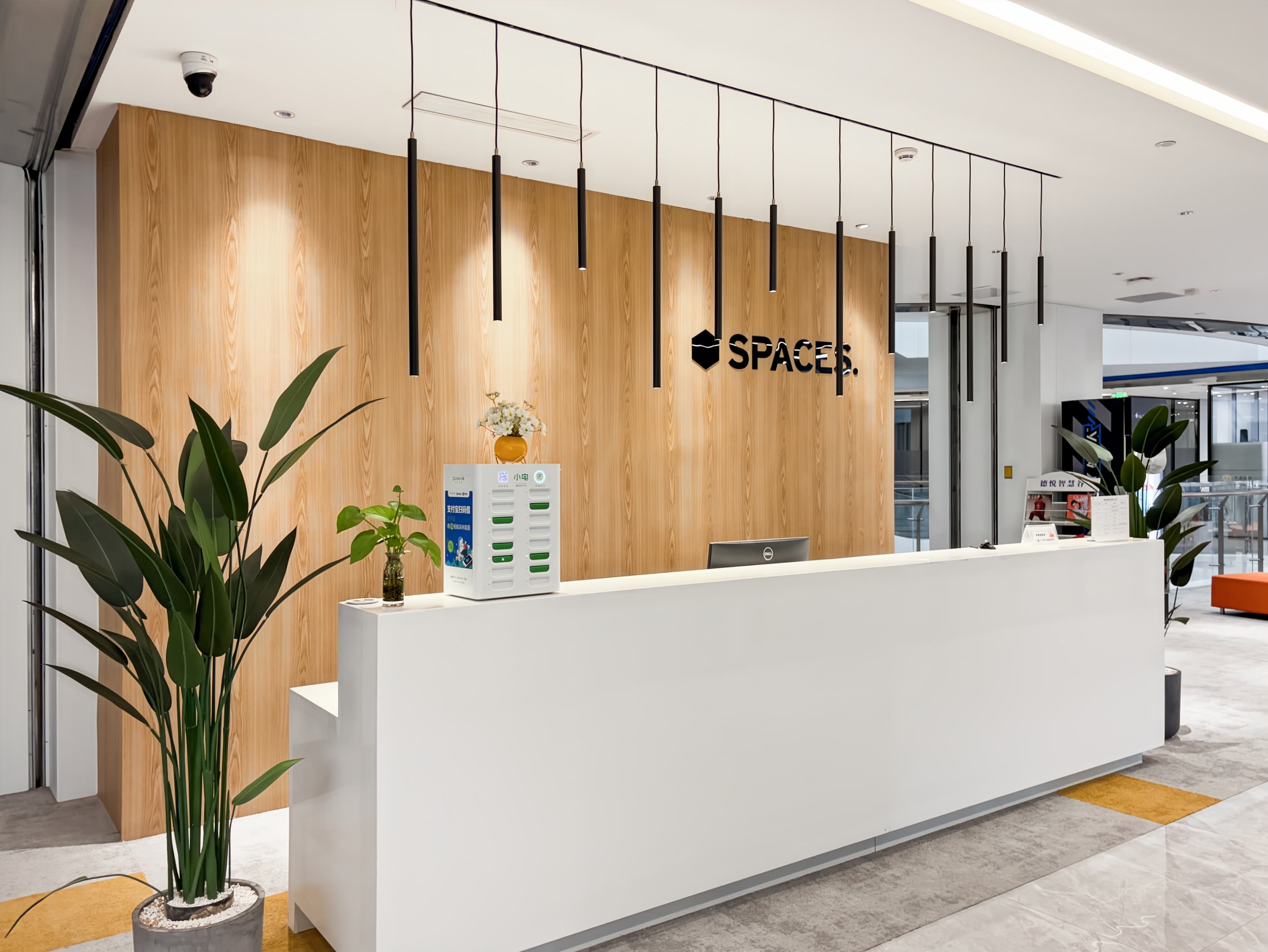 Xi'an, De Yue Windows of Knowledge image 11