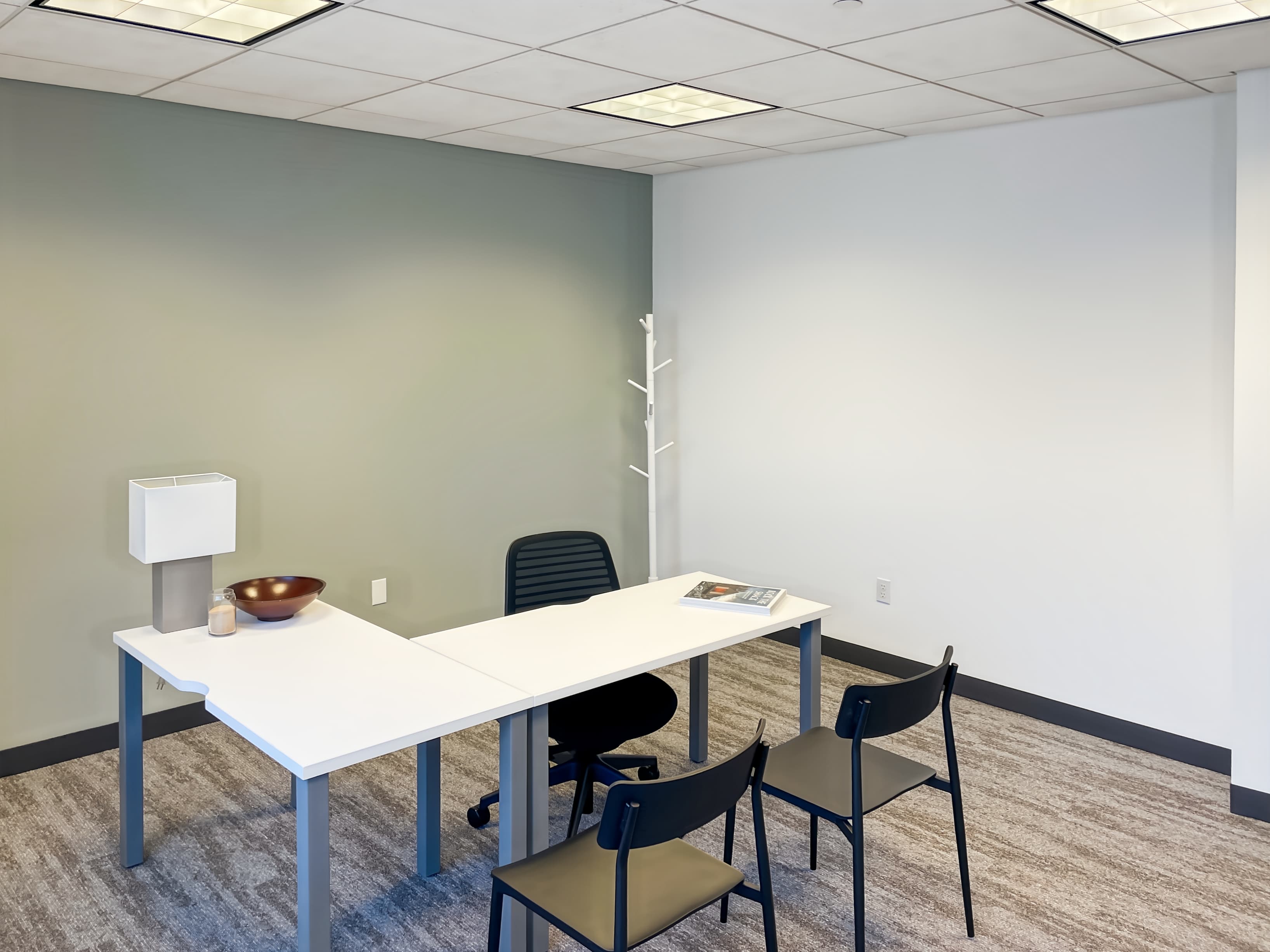 MI, Grand Rapids - Ottawa Ave NW image 14