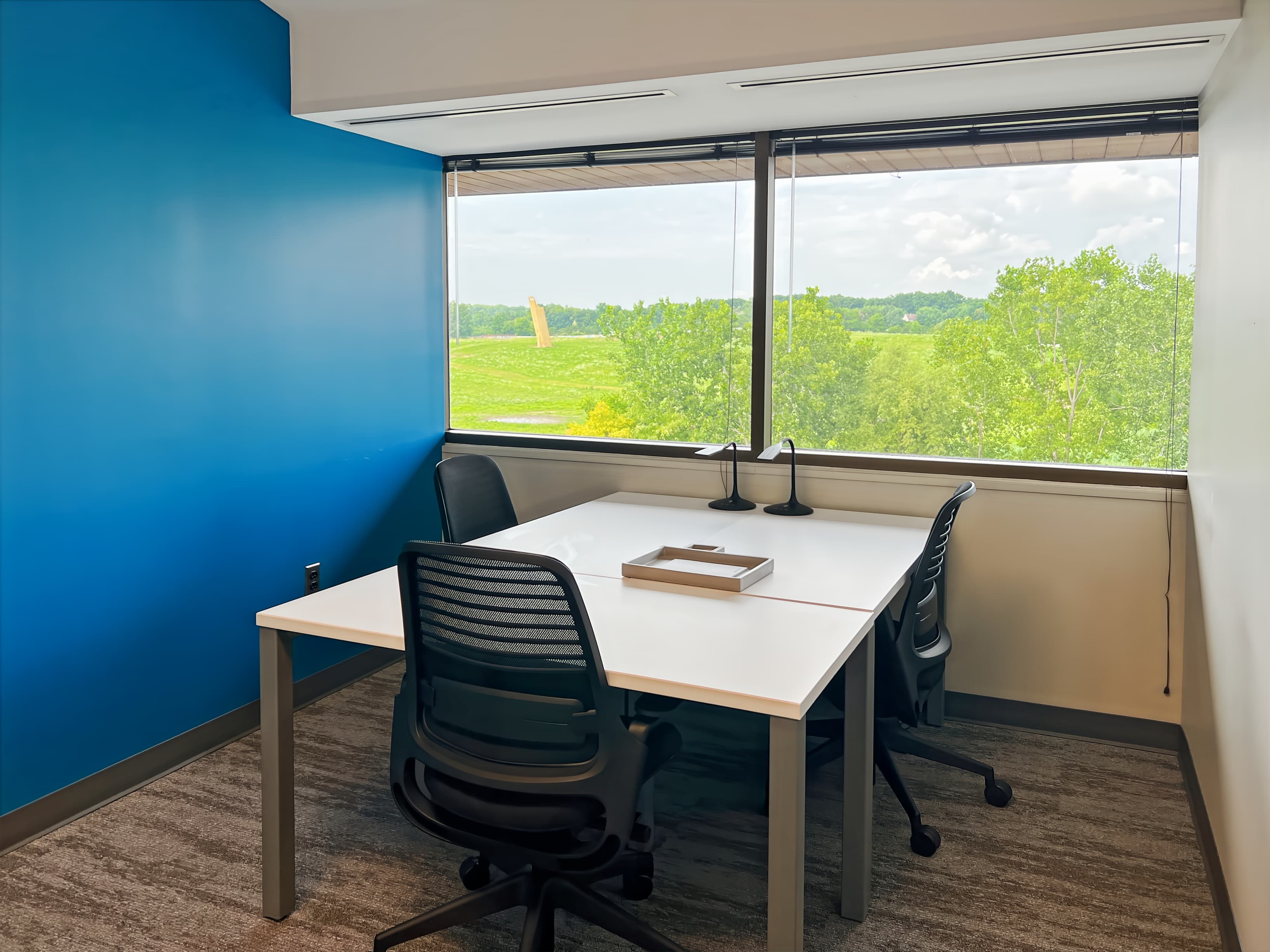 MI, Ann Arbor - Frank Lloyd Wright Dr image 2