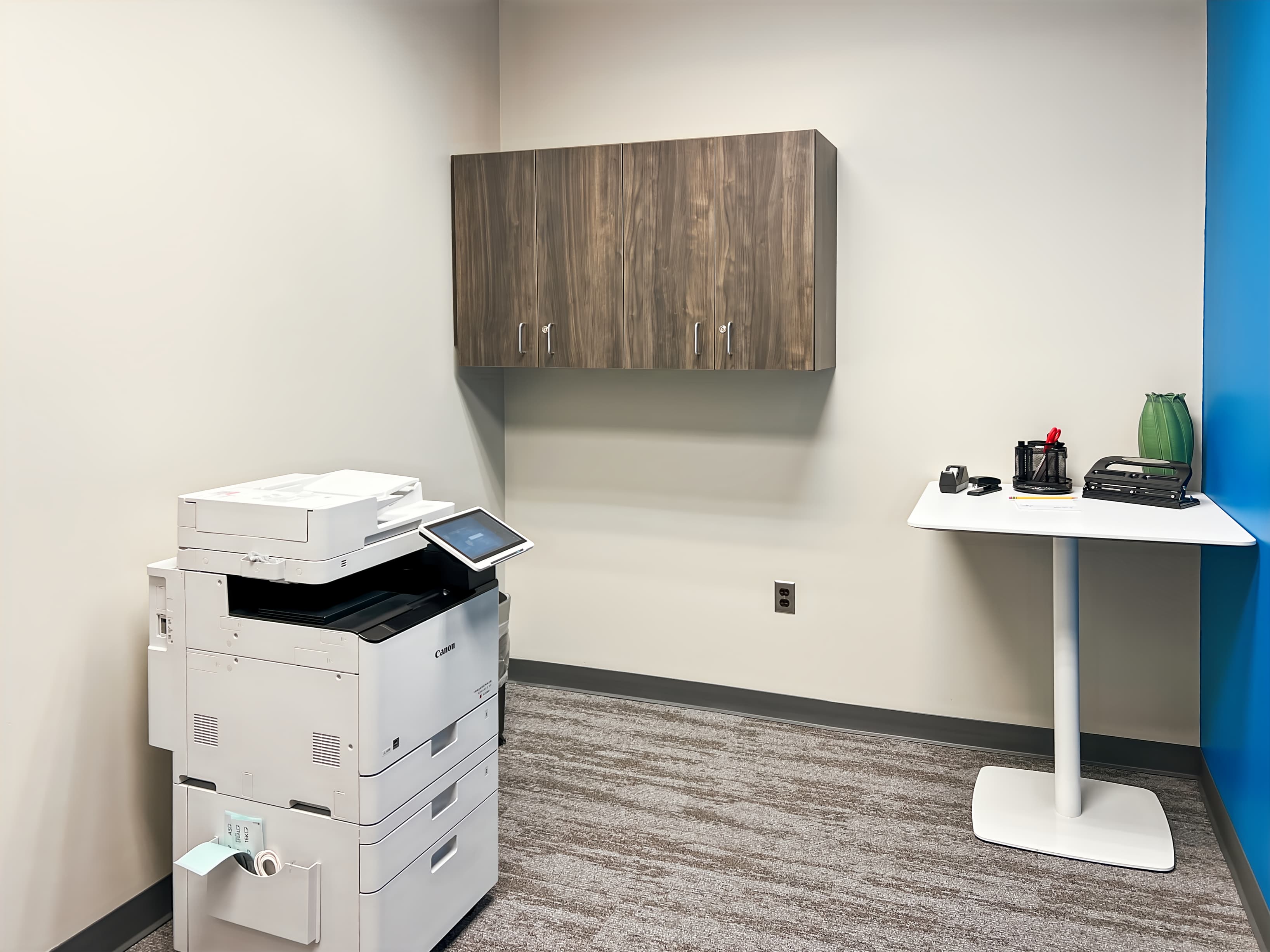 MI, Ann Arbor - Frank Lloyd Wright Dr image 9