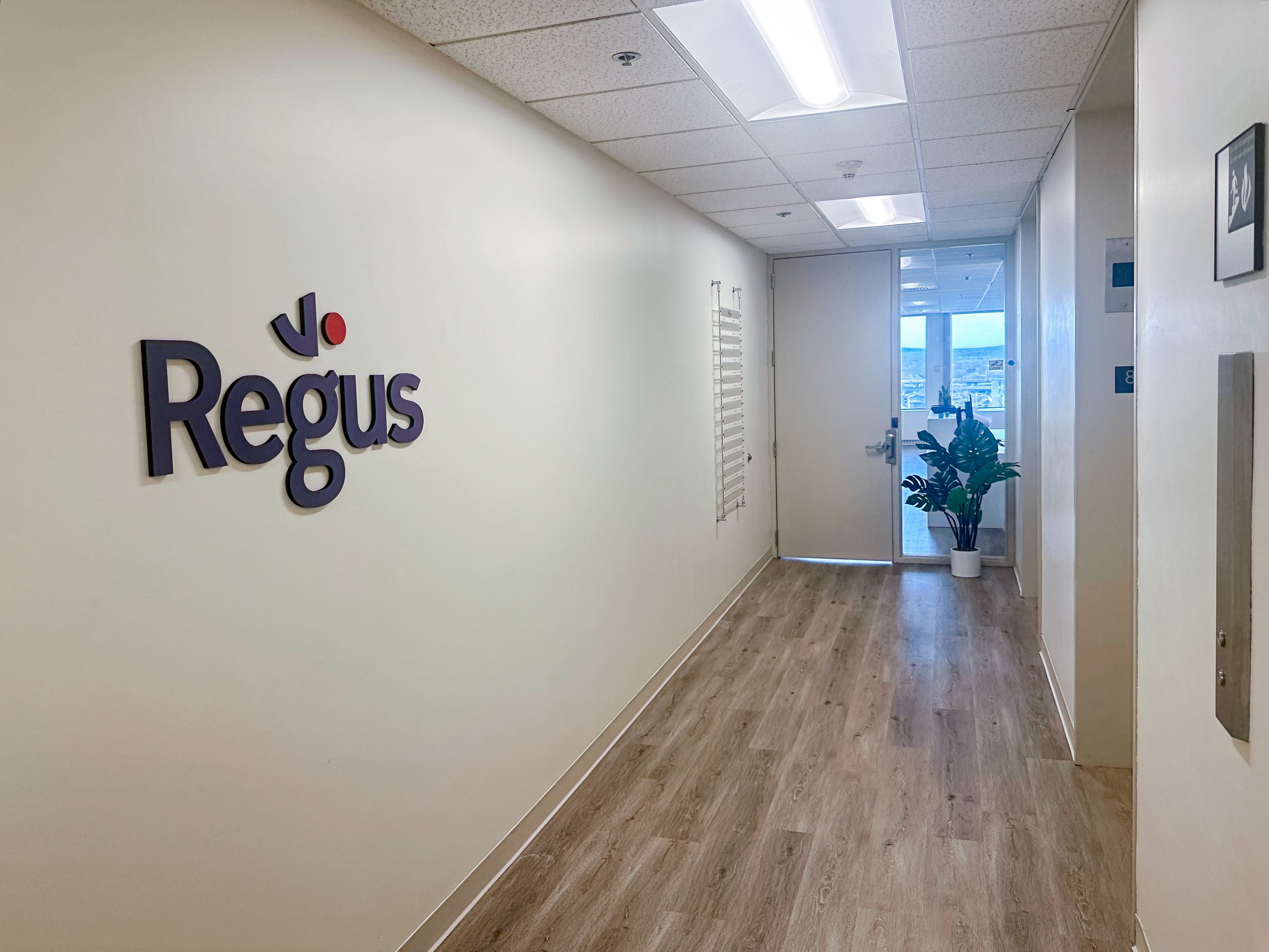 MA, Springfield - Main St image 5