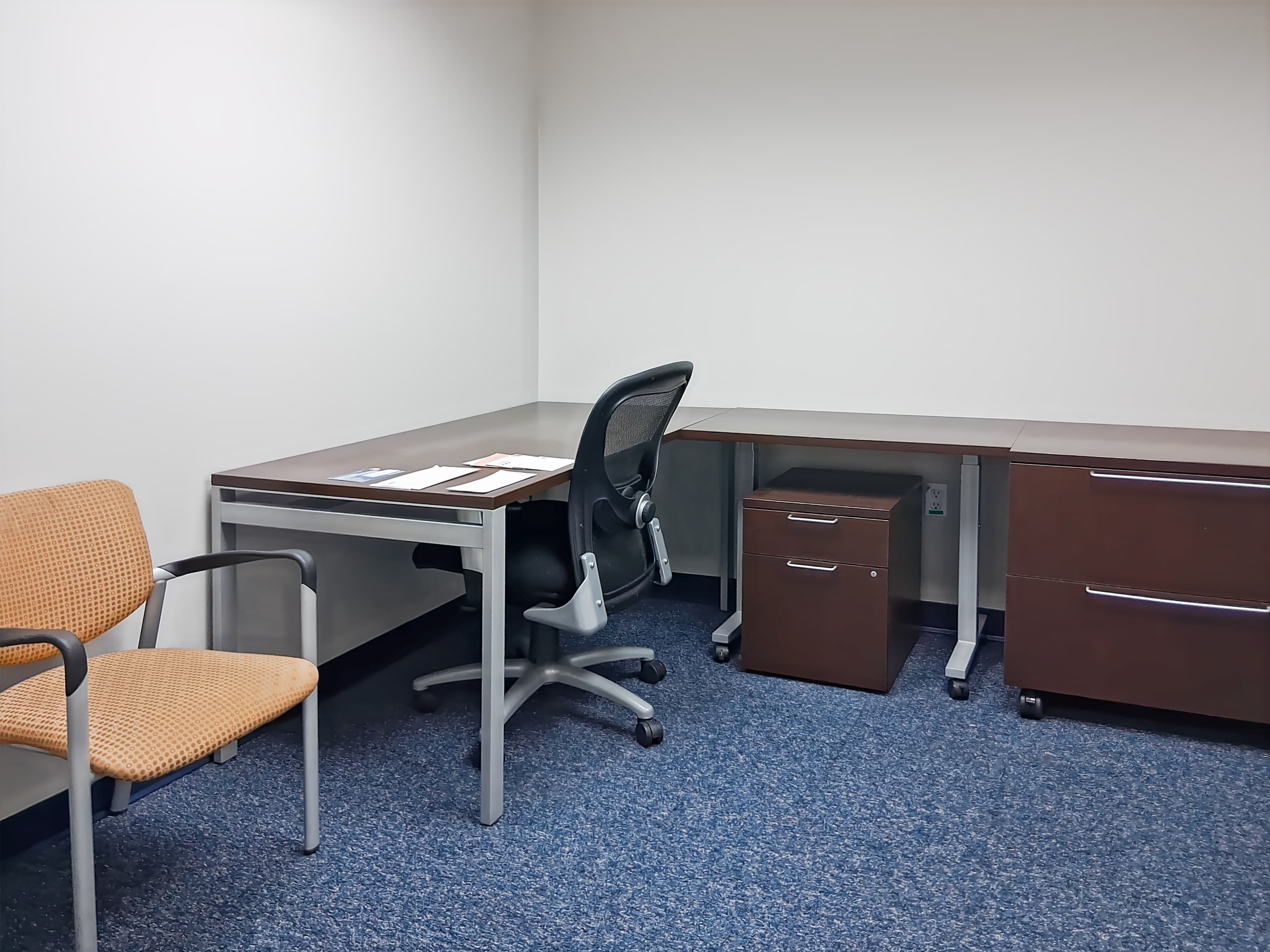 NC, Asheville - Biltmore Ave image 8