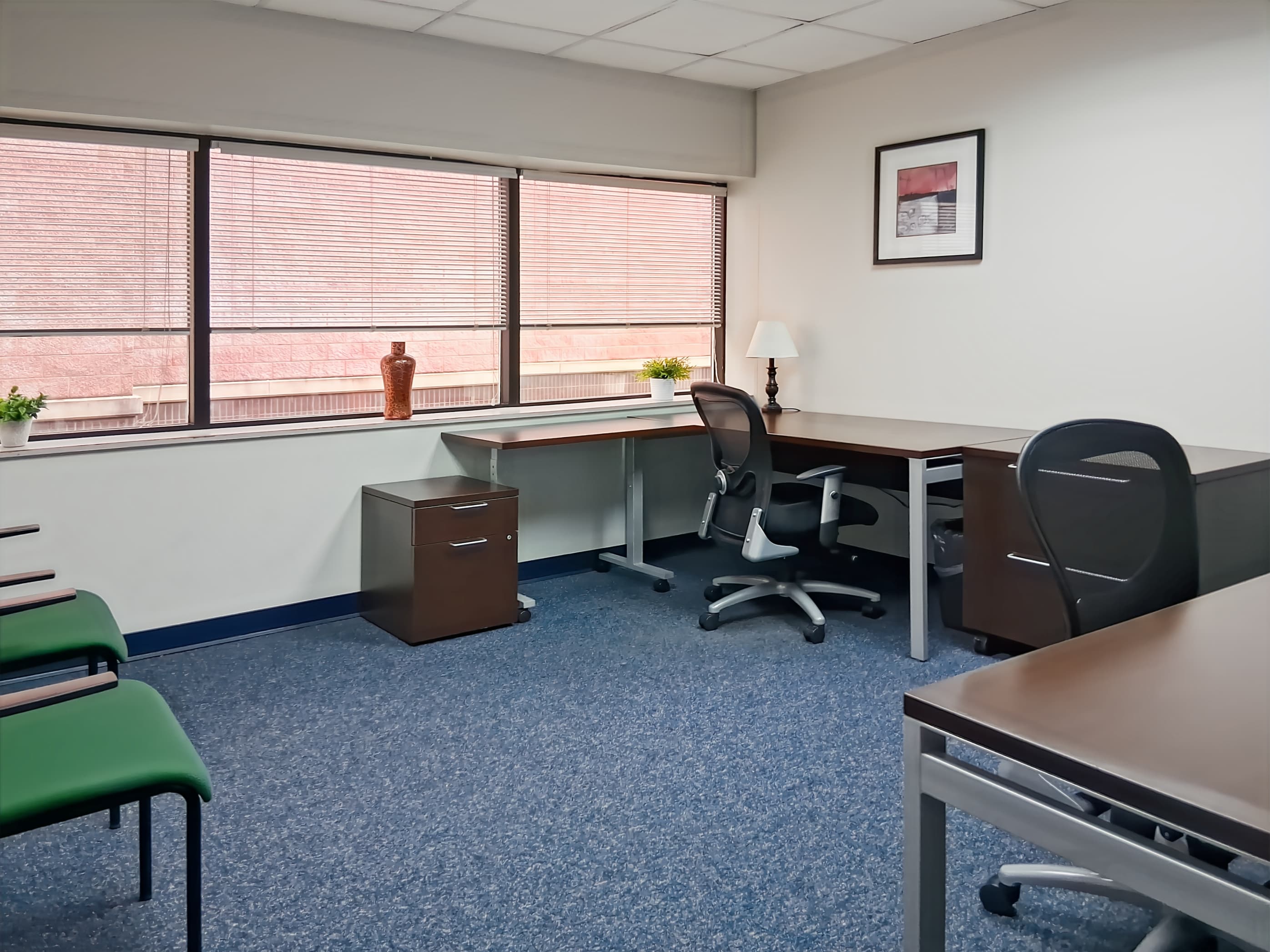 NC, Asheville - Biltmore Ave image 9