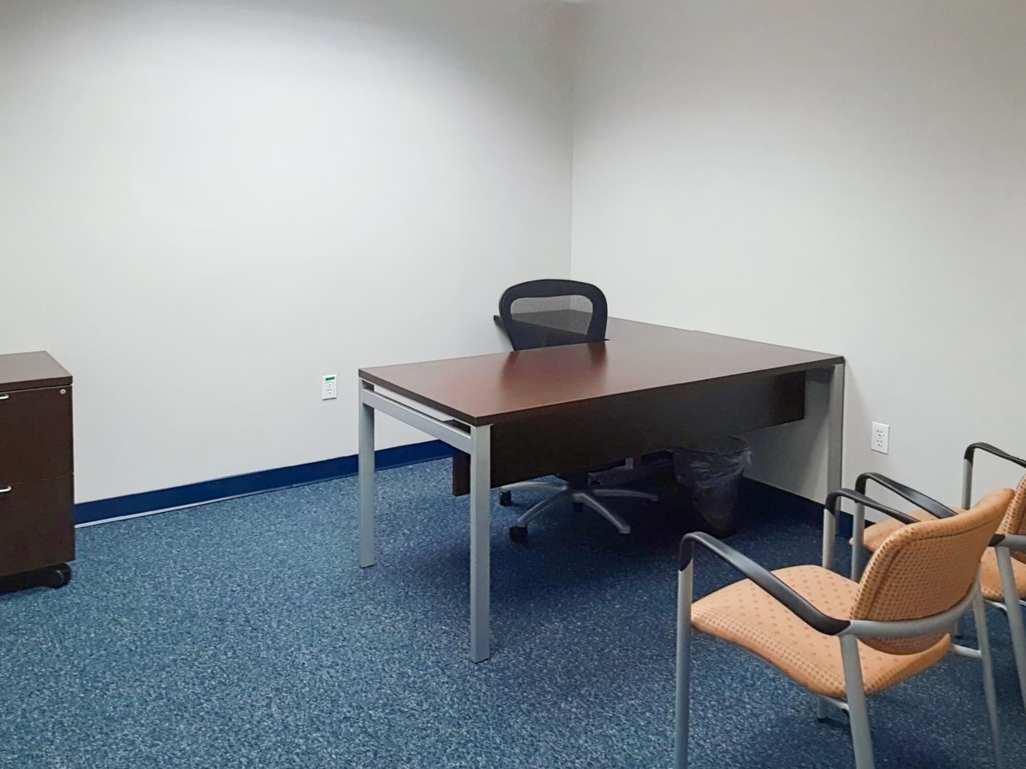 NC, Asheville - Biltmore Ave image 5