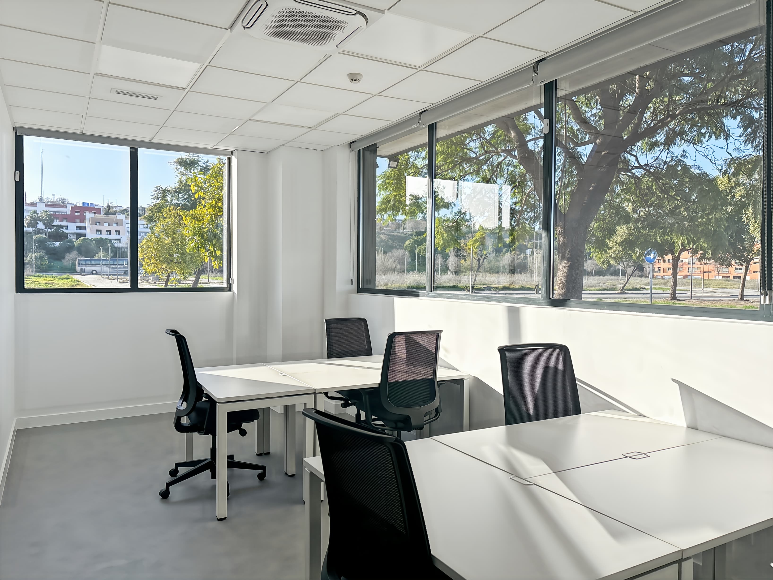 Sevilla, Camas image 10 Sevilla, Camas image 10