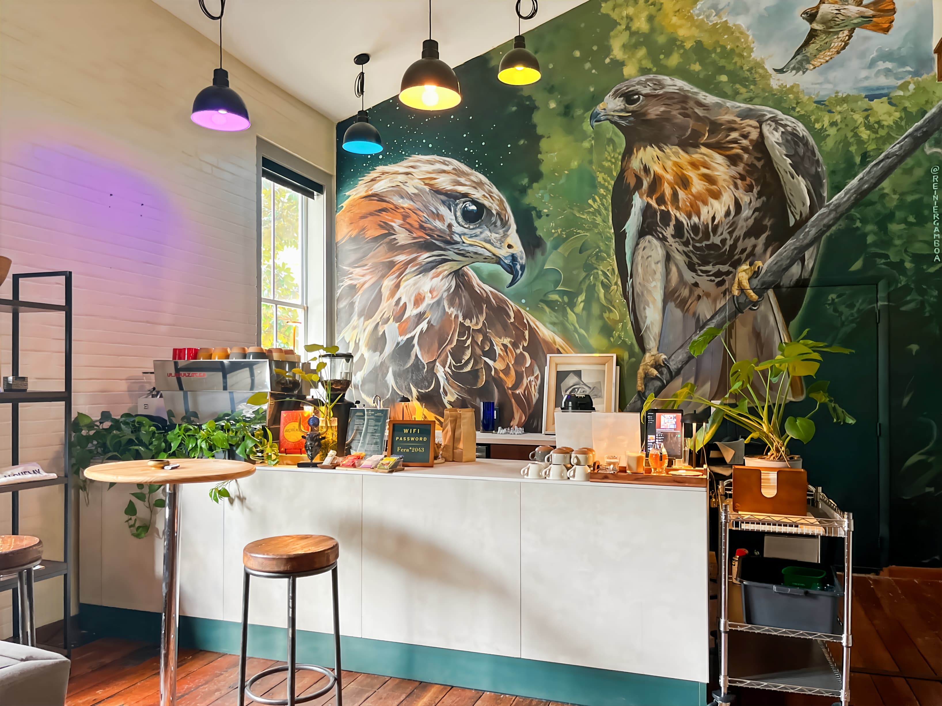 FL, Gainesville - Main St image 6 FL, Gainesville - Main St image 6