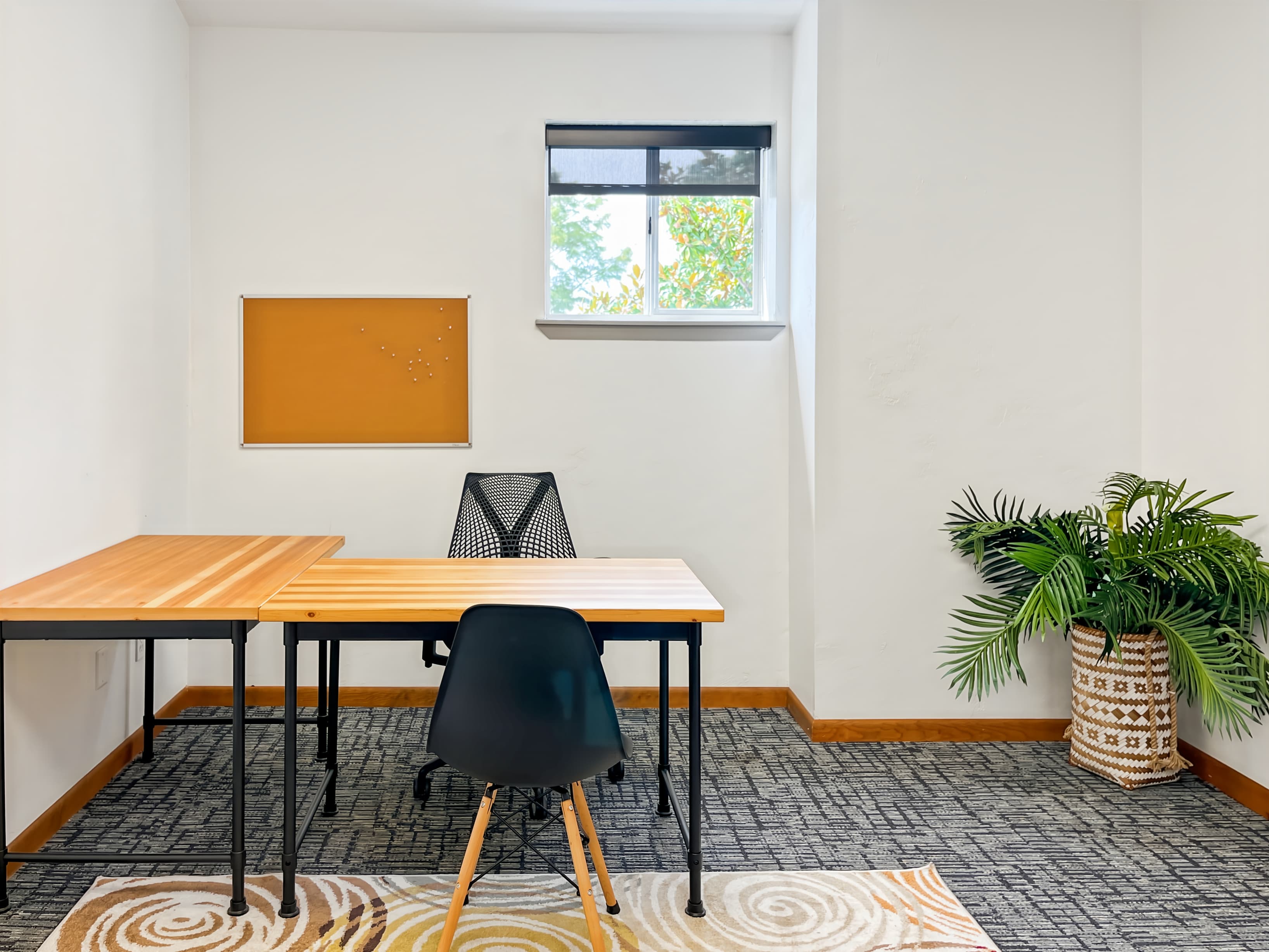 FL, Gainesville - Main St image 10 FL, Gainesville - Main St image 10