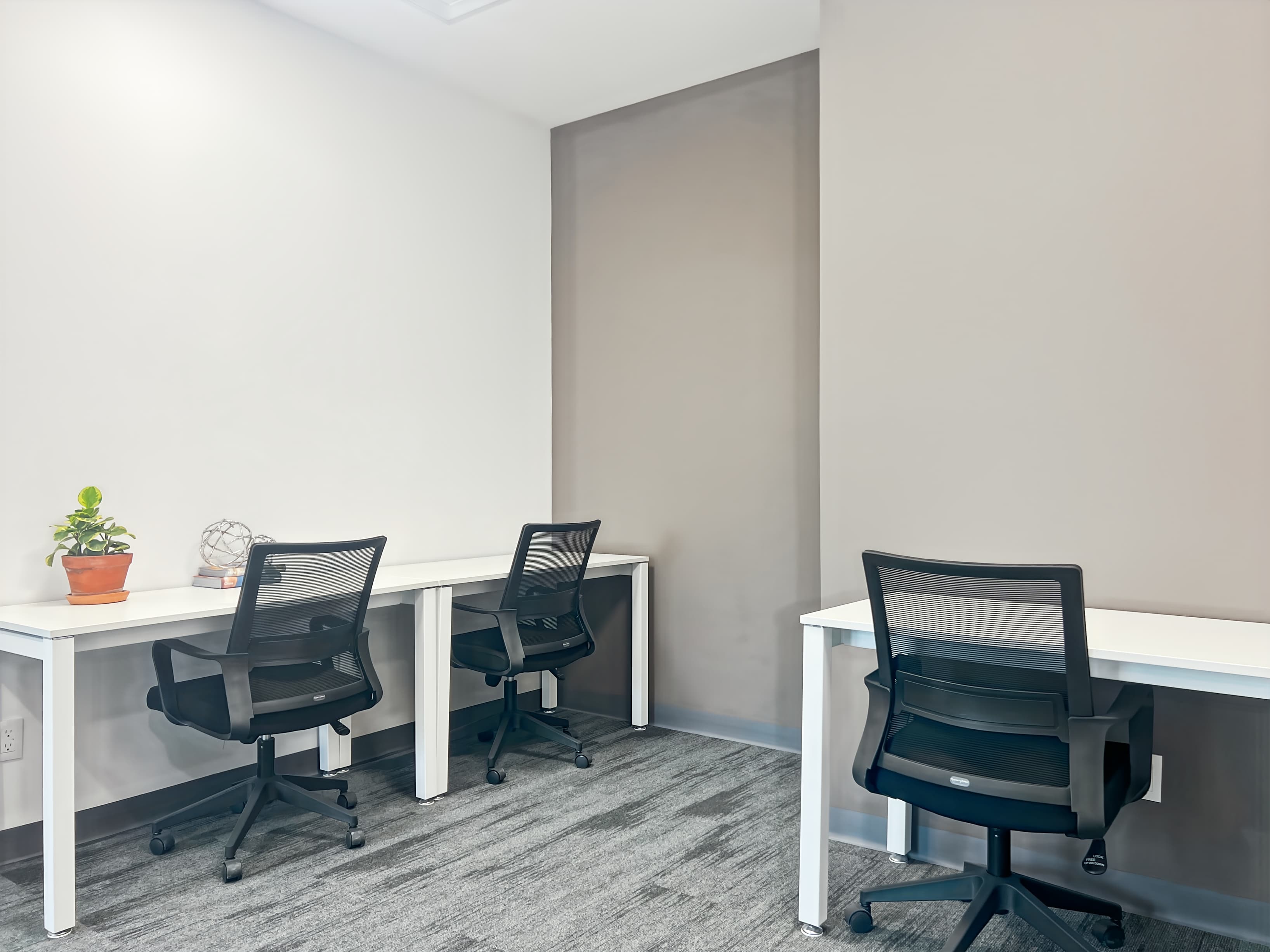 Puebla, Fratta Center image 13