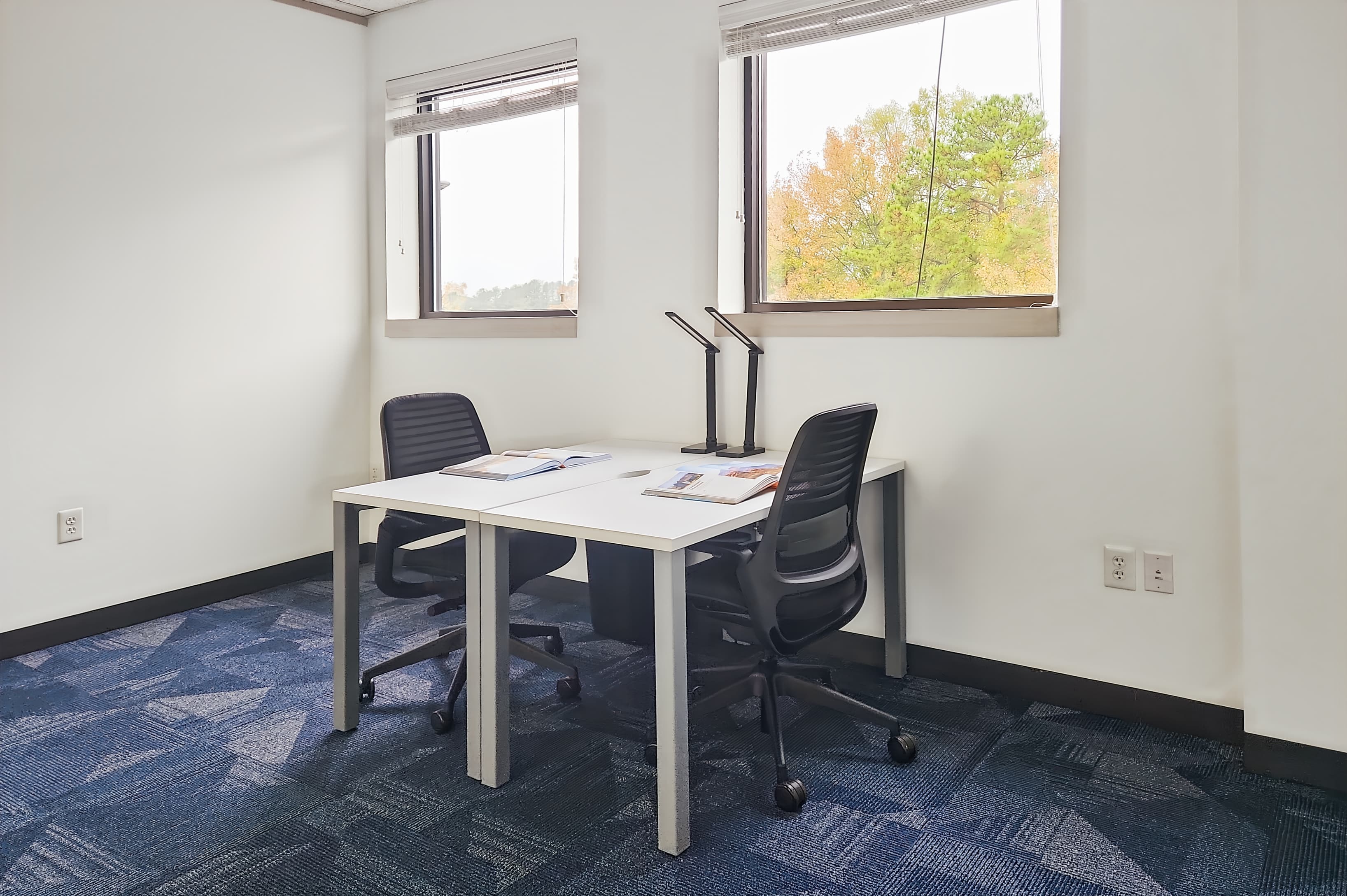 NC, Raleigh - Pleasant Valley Rd image 1