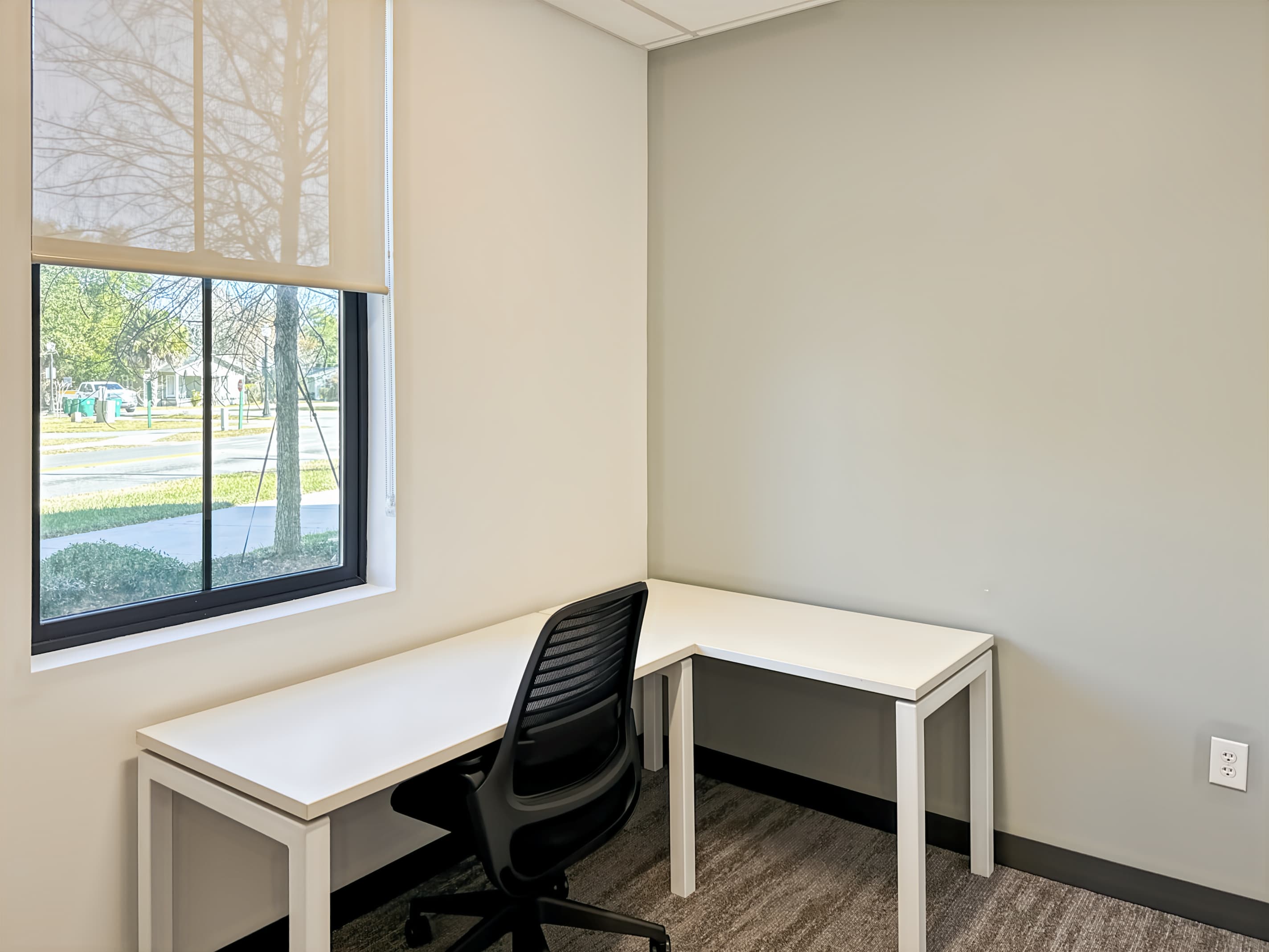 FL, Winter Garden - Plant St image 2