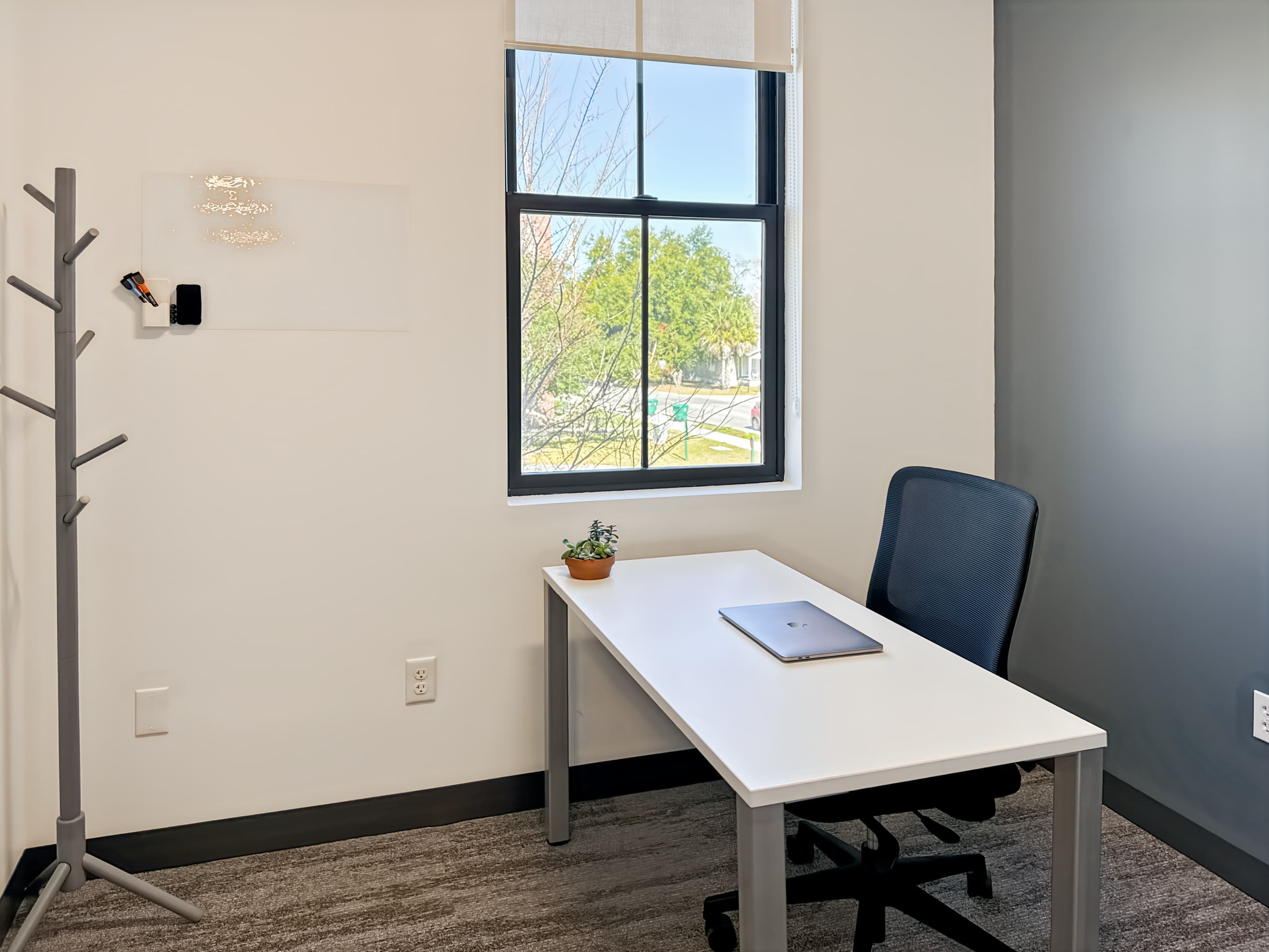 FL, Winter Garden - Plant St image 5