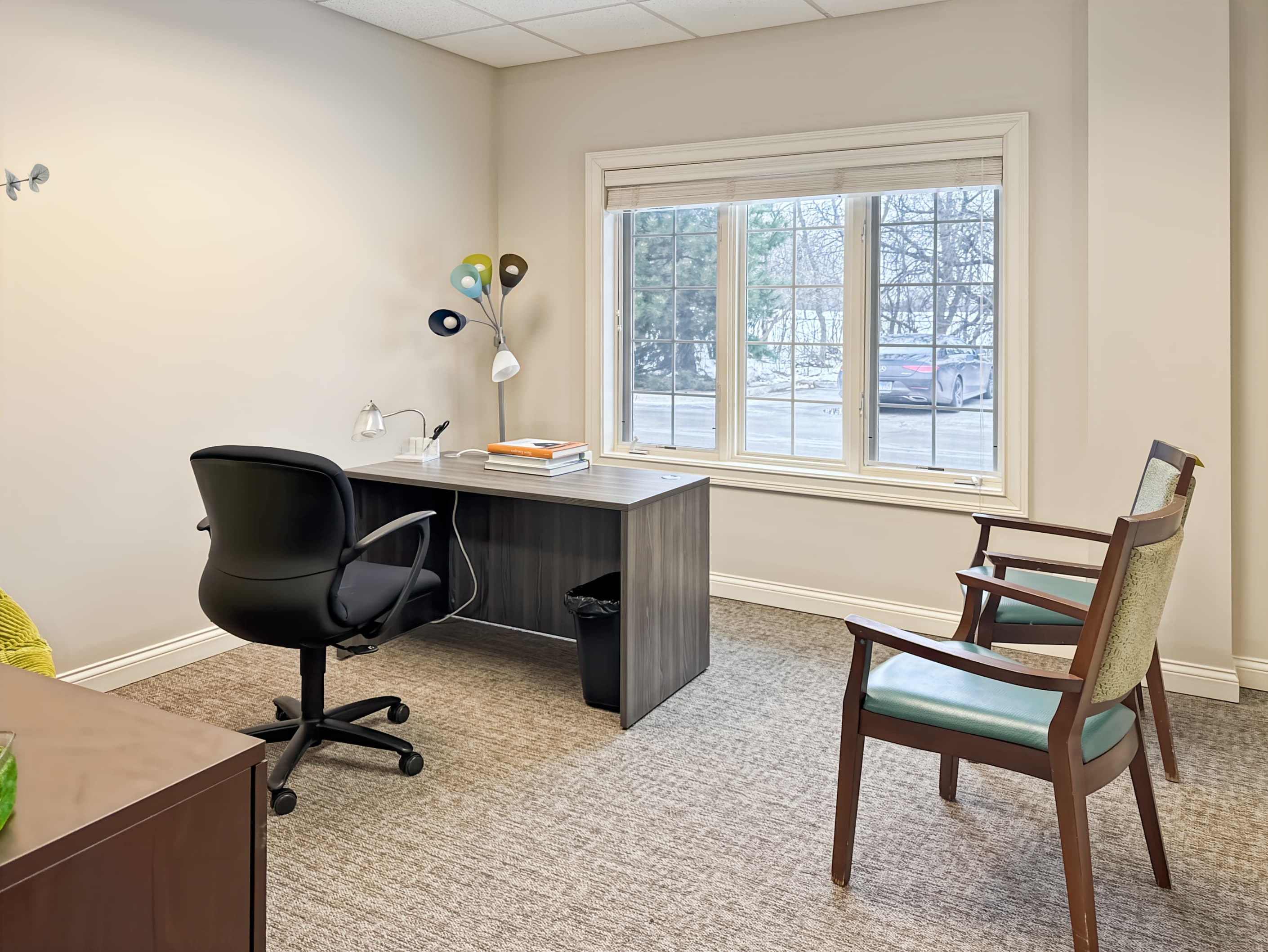 IL, Libertyville - Winchester Rd image 14