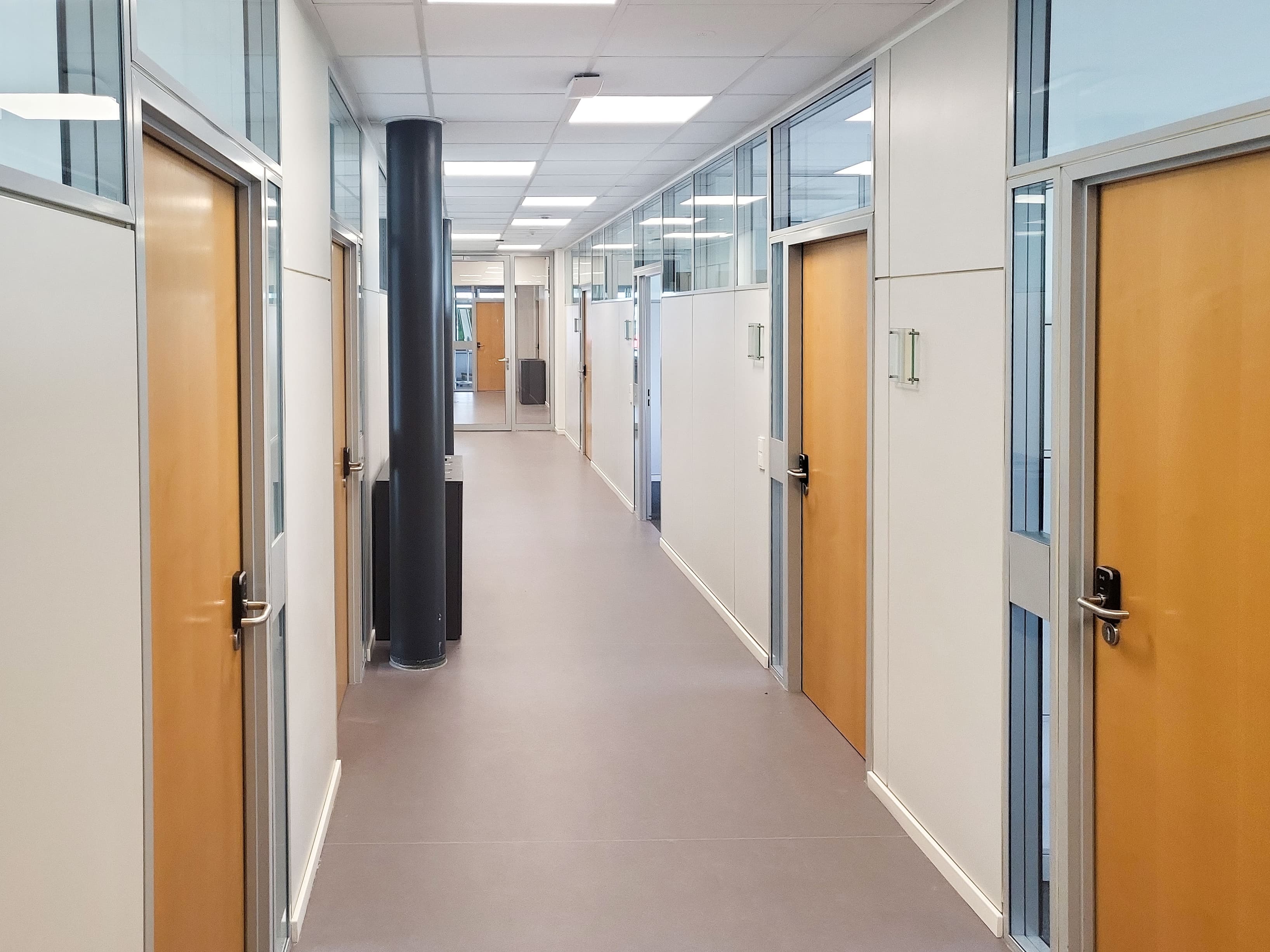 SCHWETZINGEN, Carl-Benz-Straße image 6