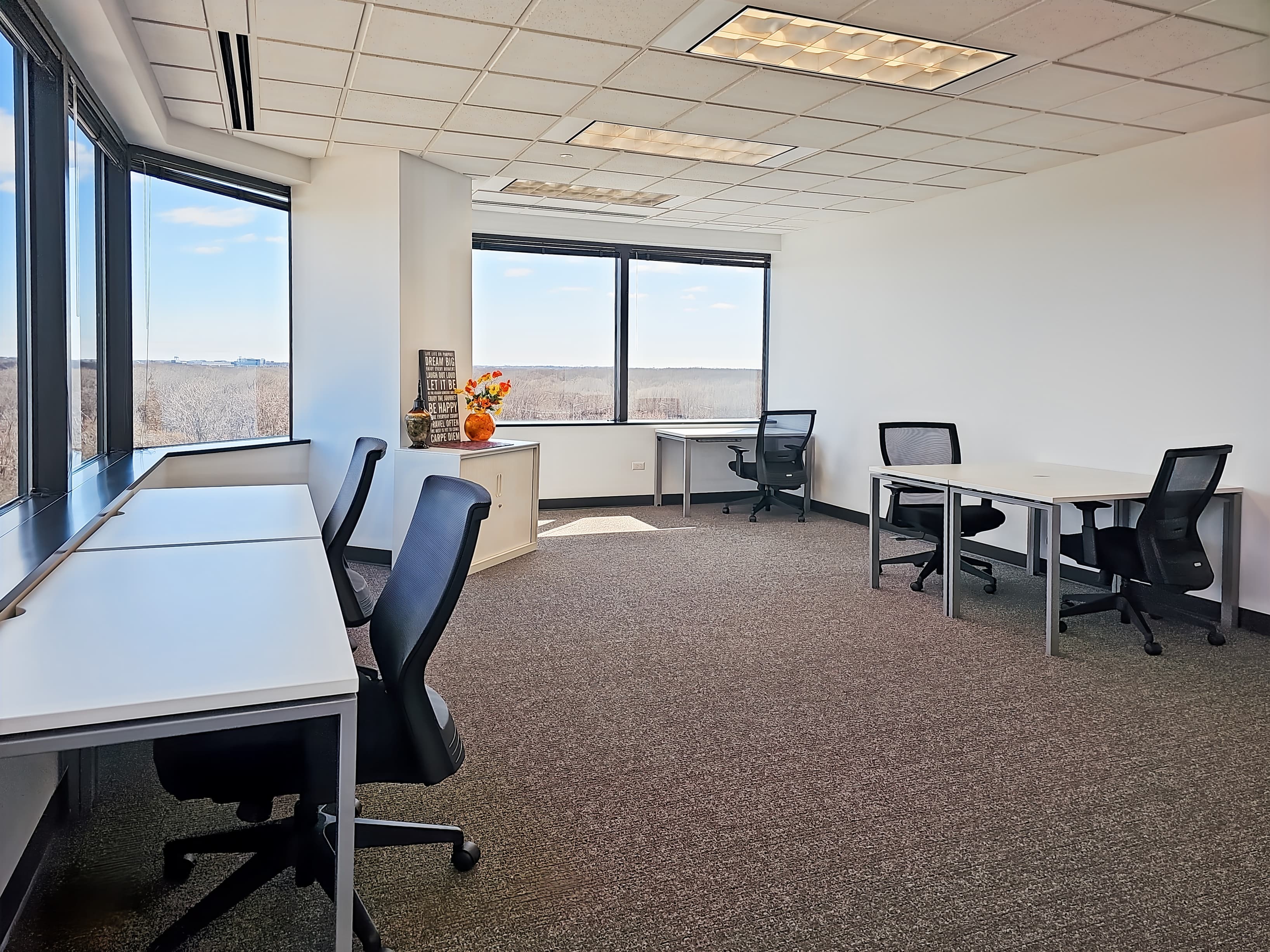 IL, Buffalo Grove - E Lake Cook Rd image 11