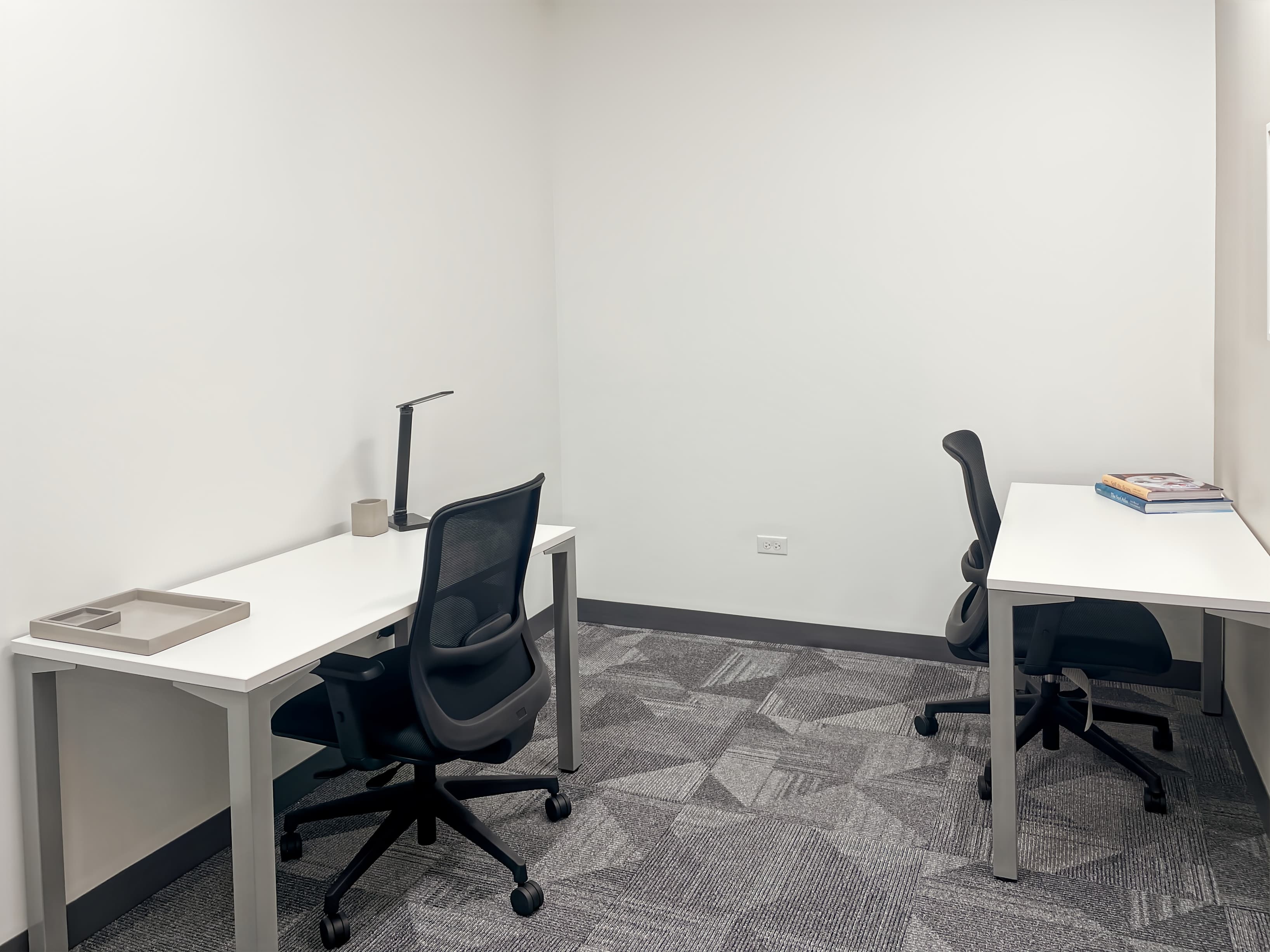 IL, Naperville - South Washington St image 10