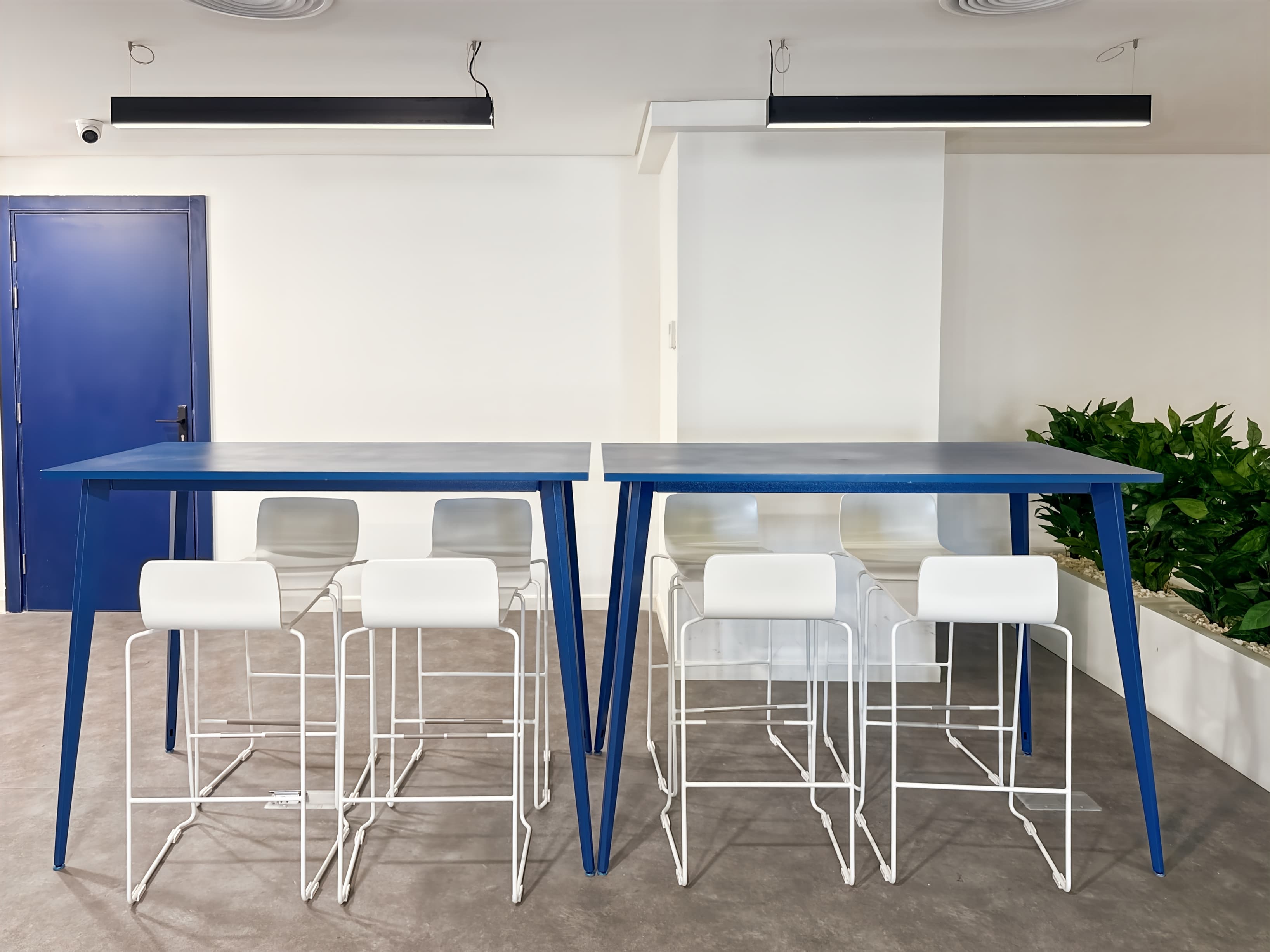 Hurghada, Royal image 5 Hurghada, Royal image 5