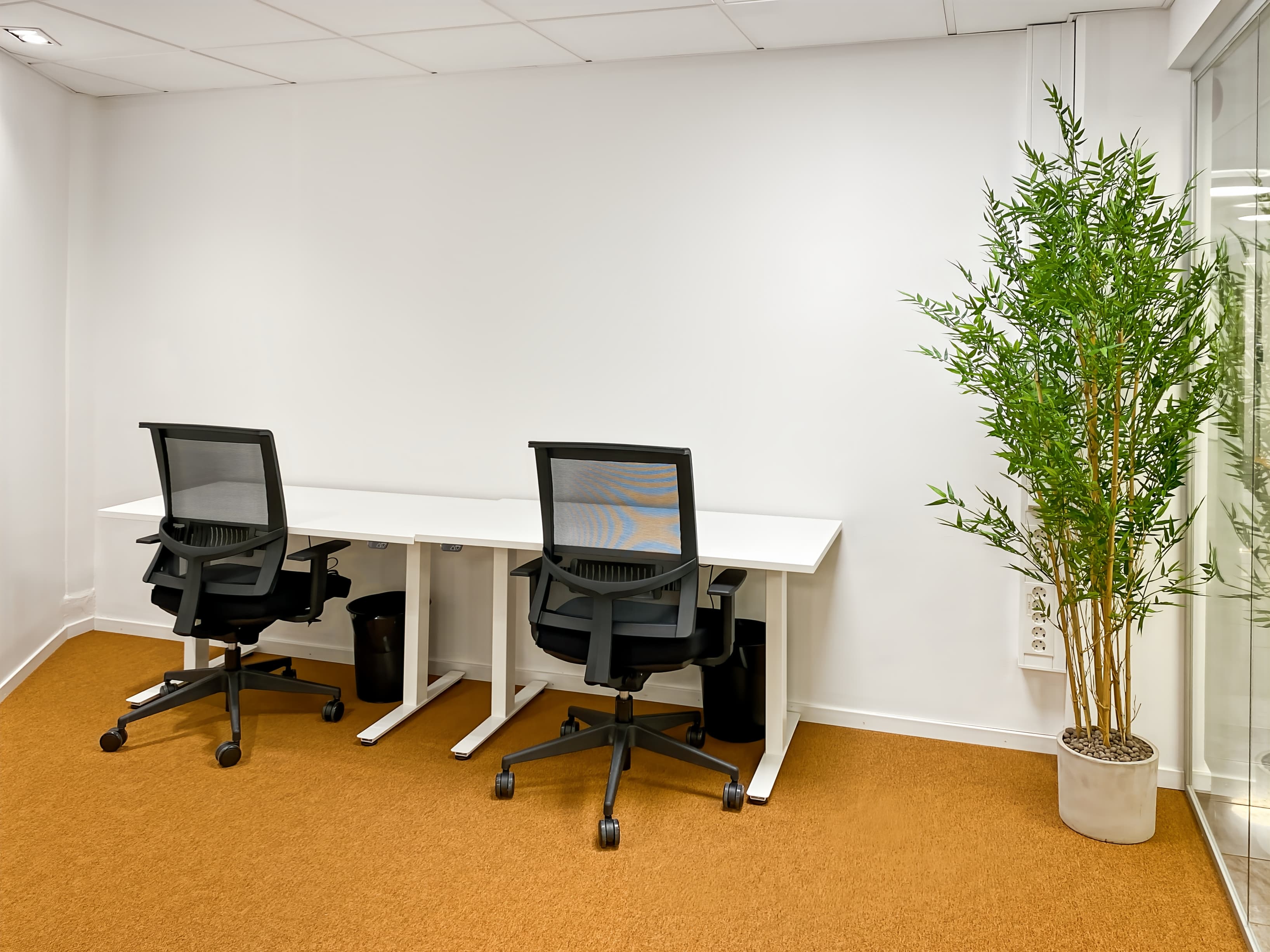 JÖNKÖPING, Östra Storgatan image 11