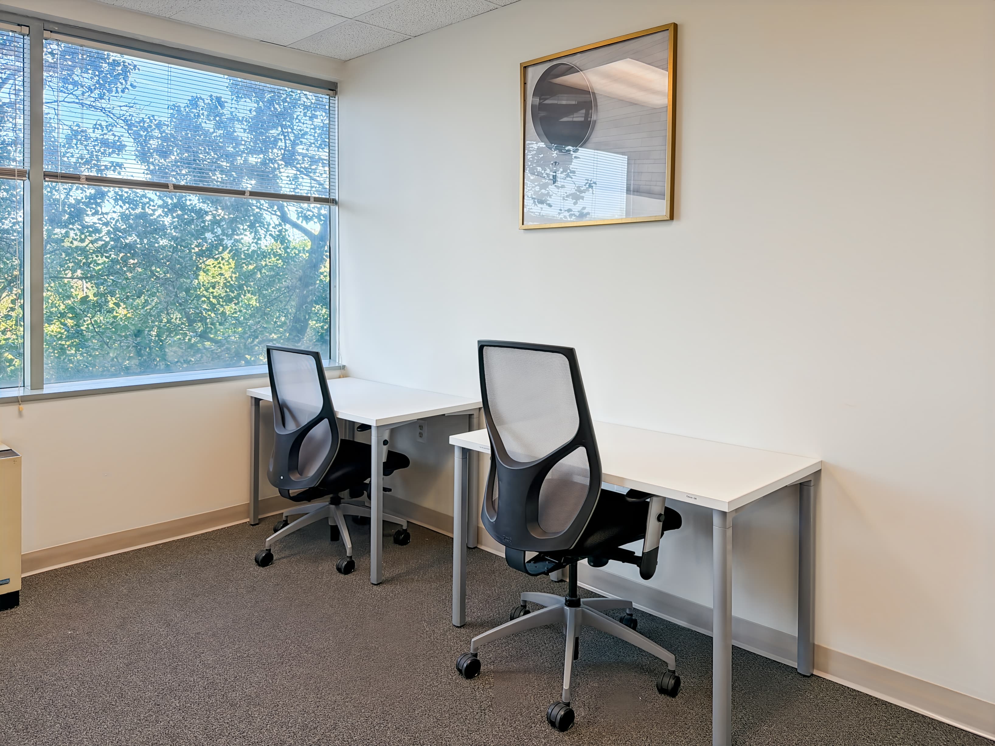 MD, Beltsville - Powder Mill Rd image 8 MD, Beltsville - Powder Mill Rd image 8