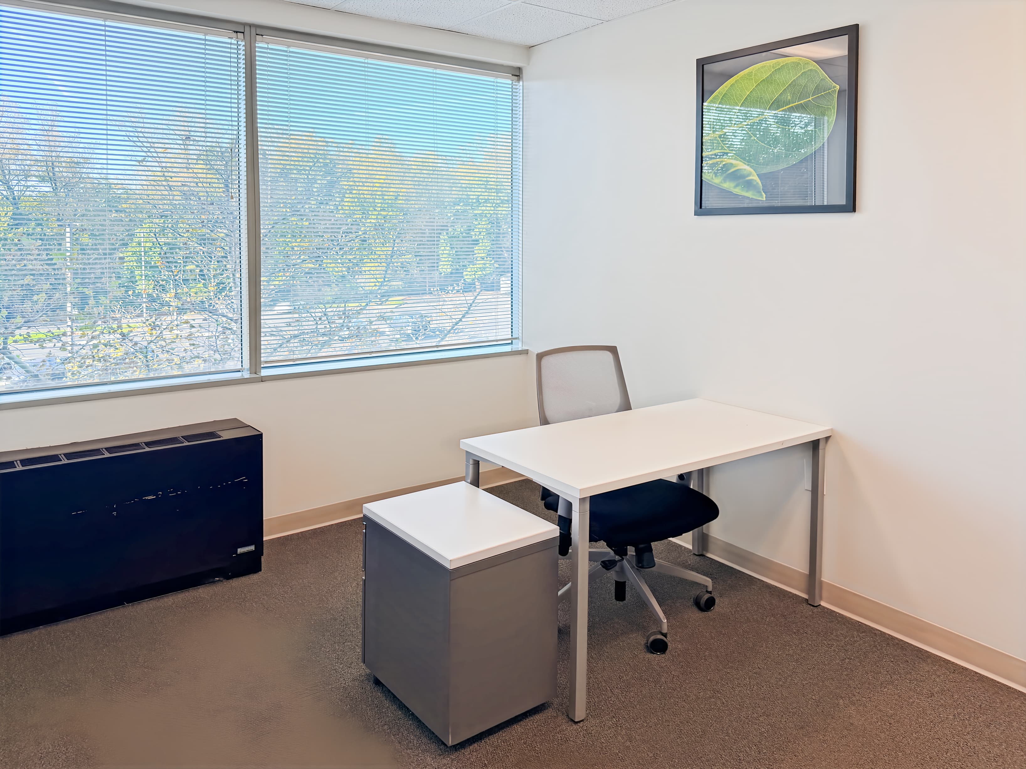 MD, Beltsville - Powder Mill Rd image 7 MD, Beltsville - Powder Mill Rd image 7