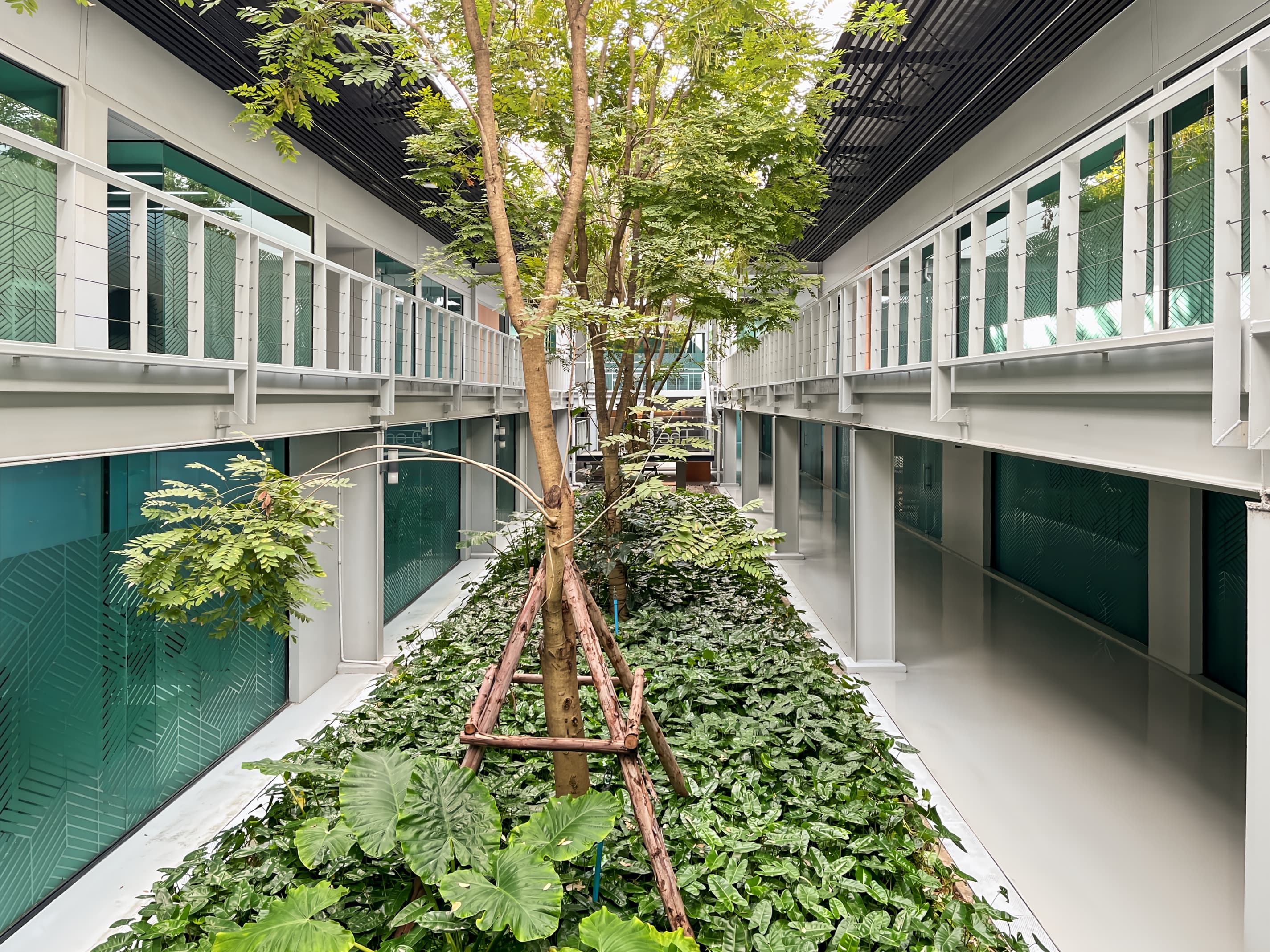 Chiang Mai, The OfficePlus image 10