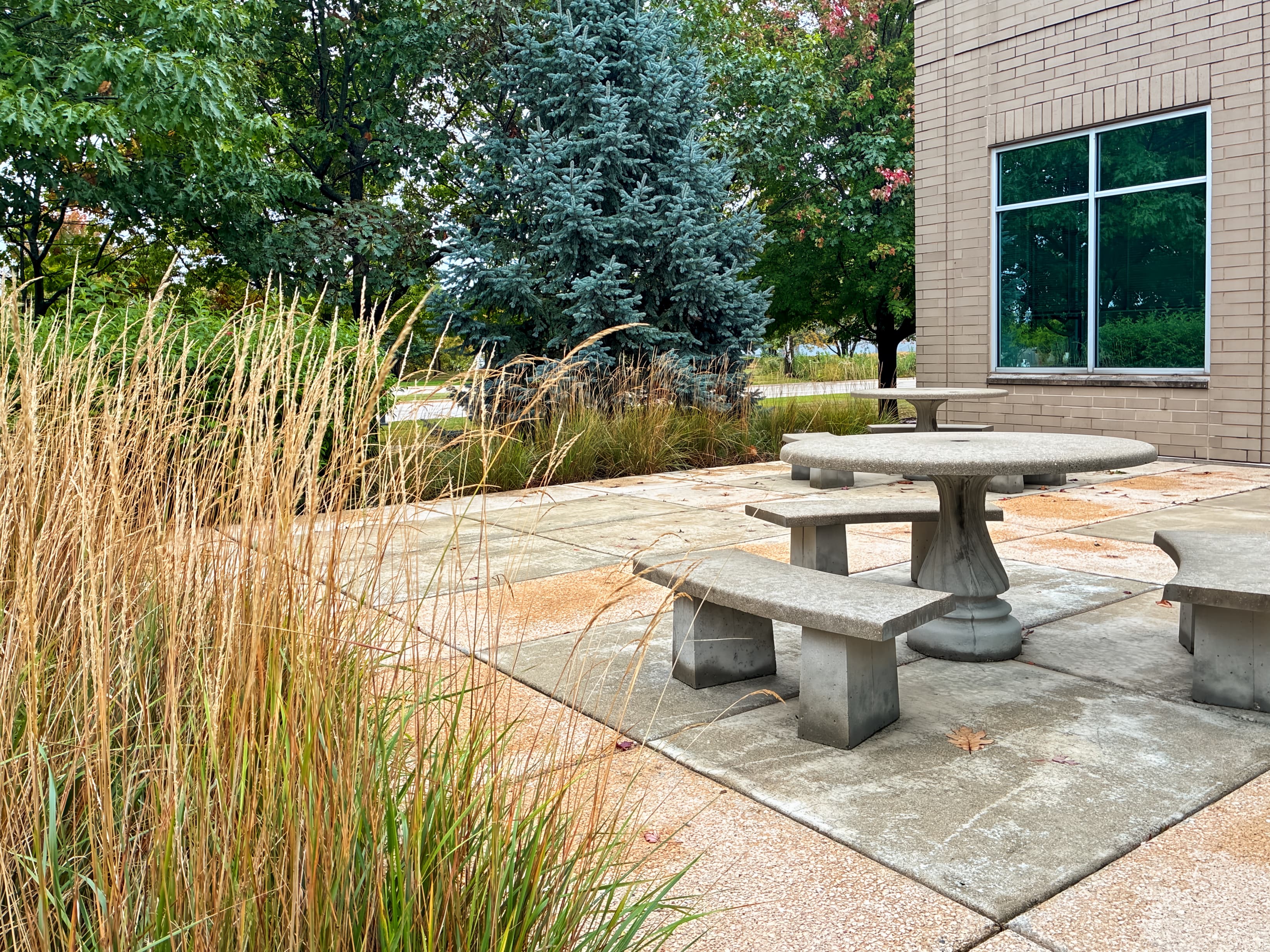 IL, Hoffman Estates - Prairie Stone Pkwy image 12